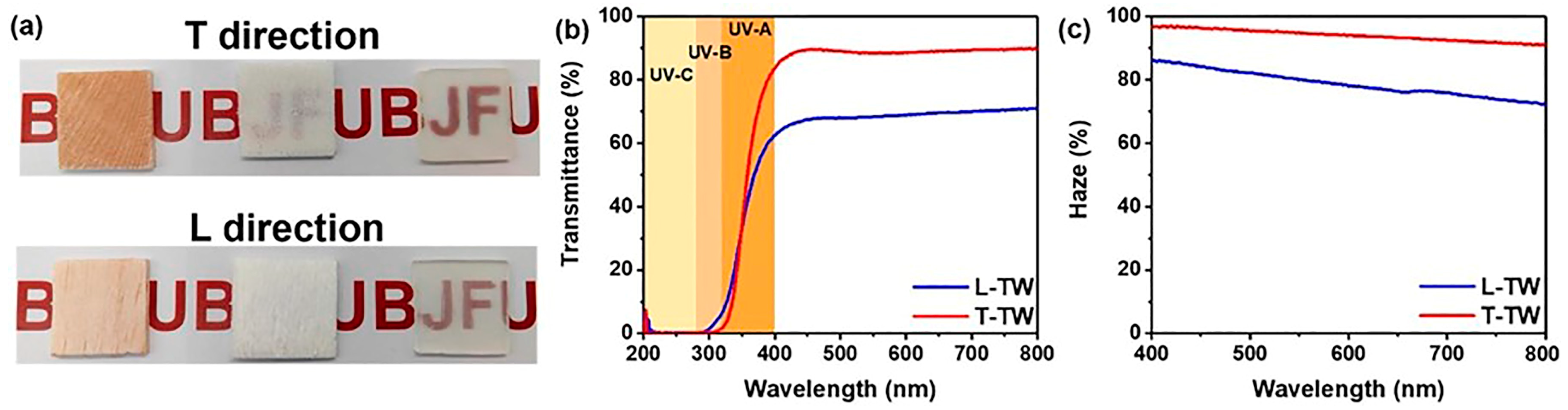 Polymers 17 03276 g007