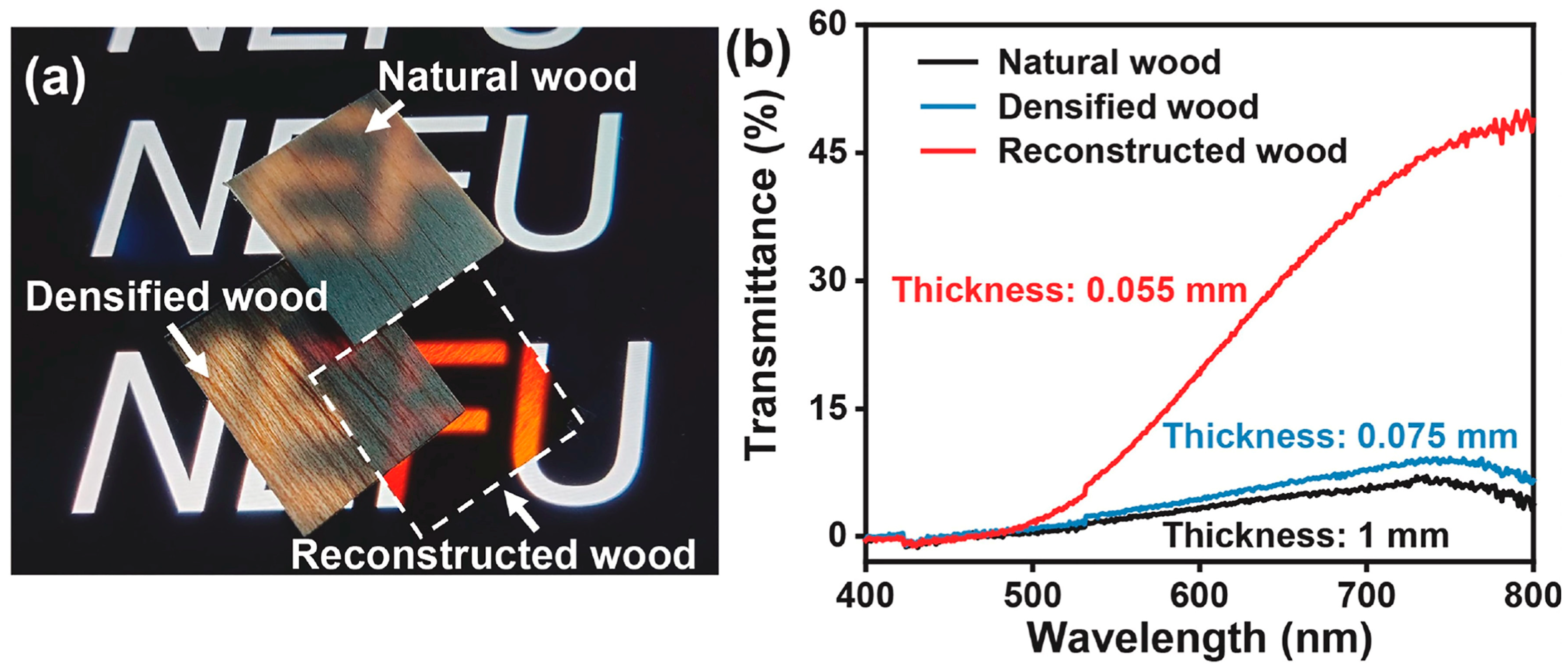 Polymers 17 03276 g008