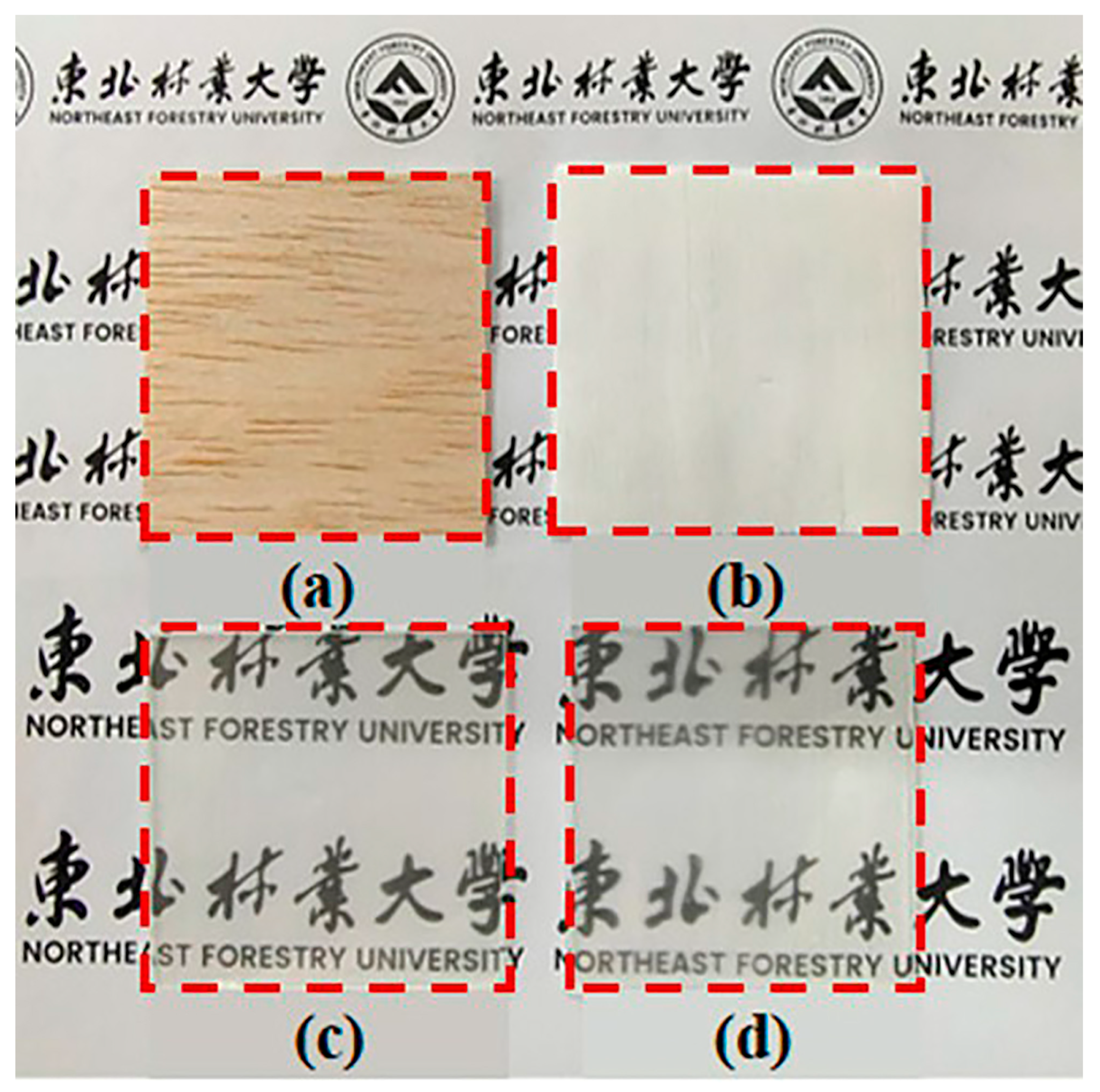 Polymers 17 03276 g012