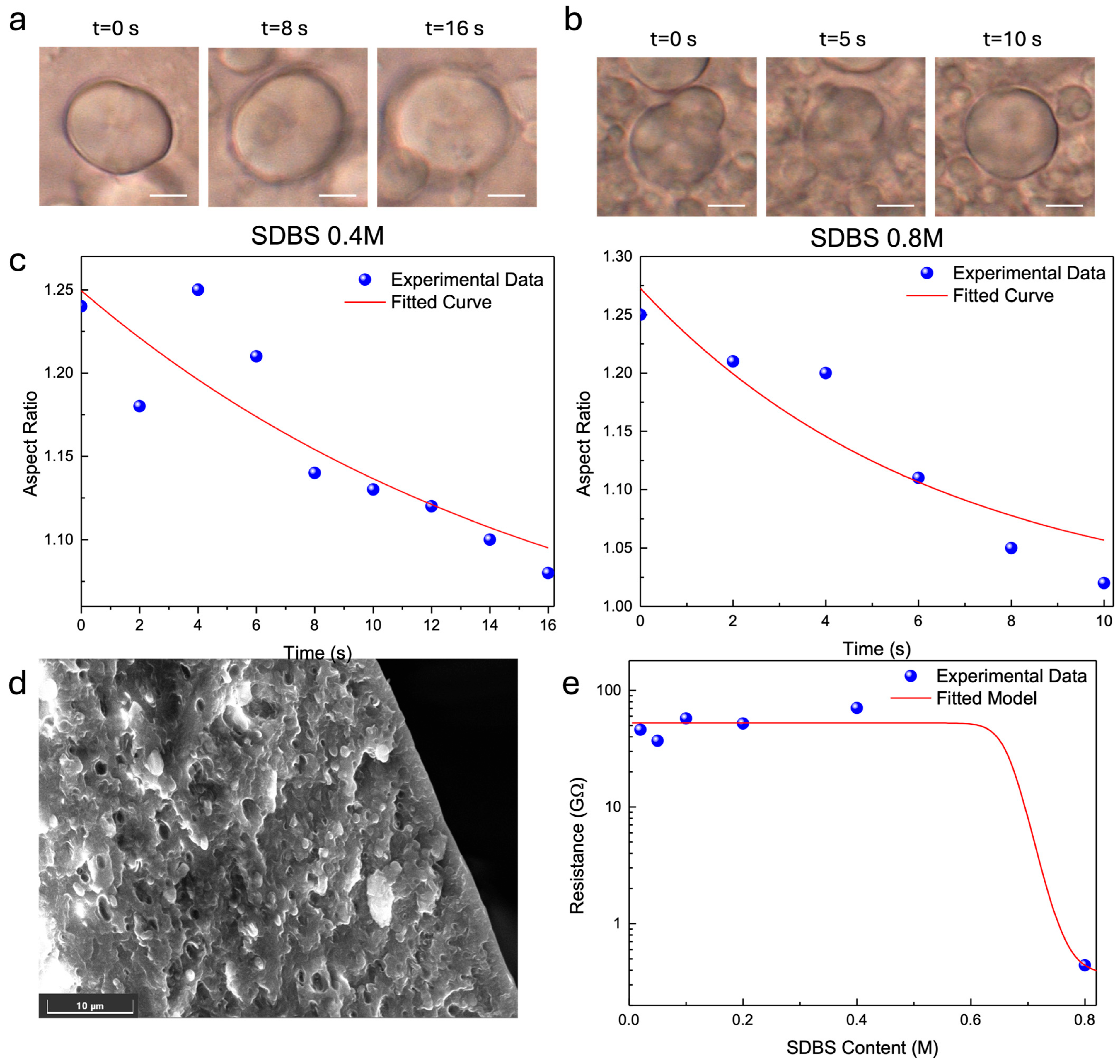Polymers 17 03277 g004