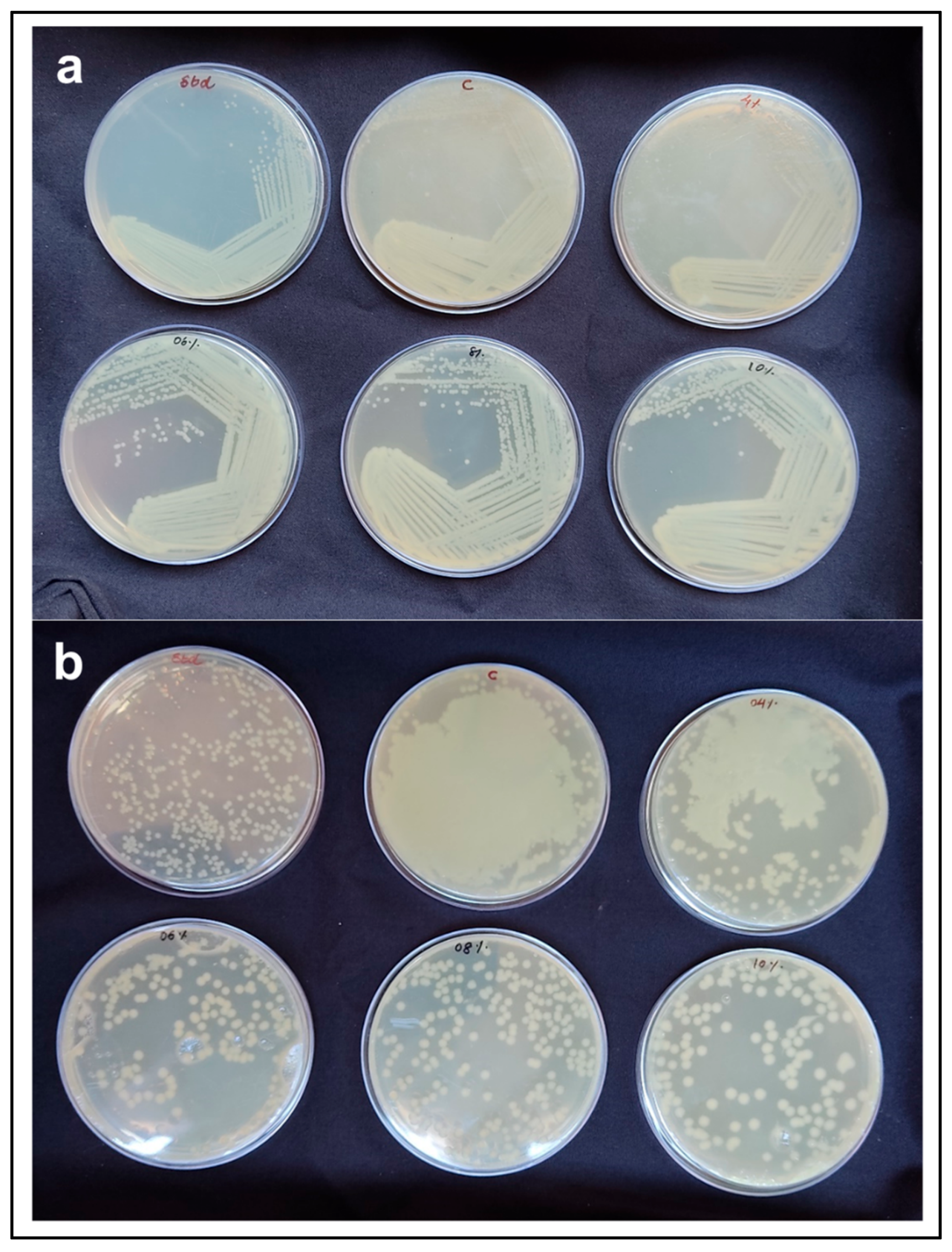 Polymers 17 03278 g005 Polymers 17 03278 g005