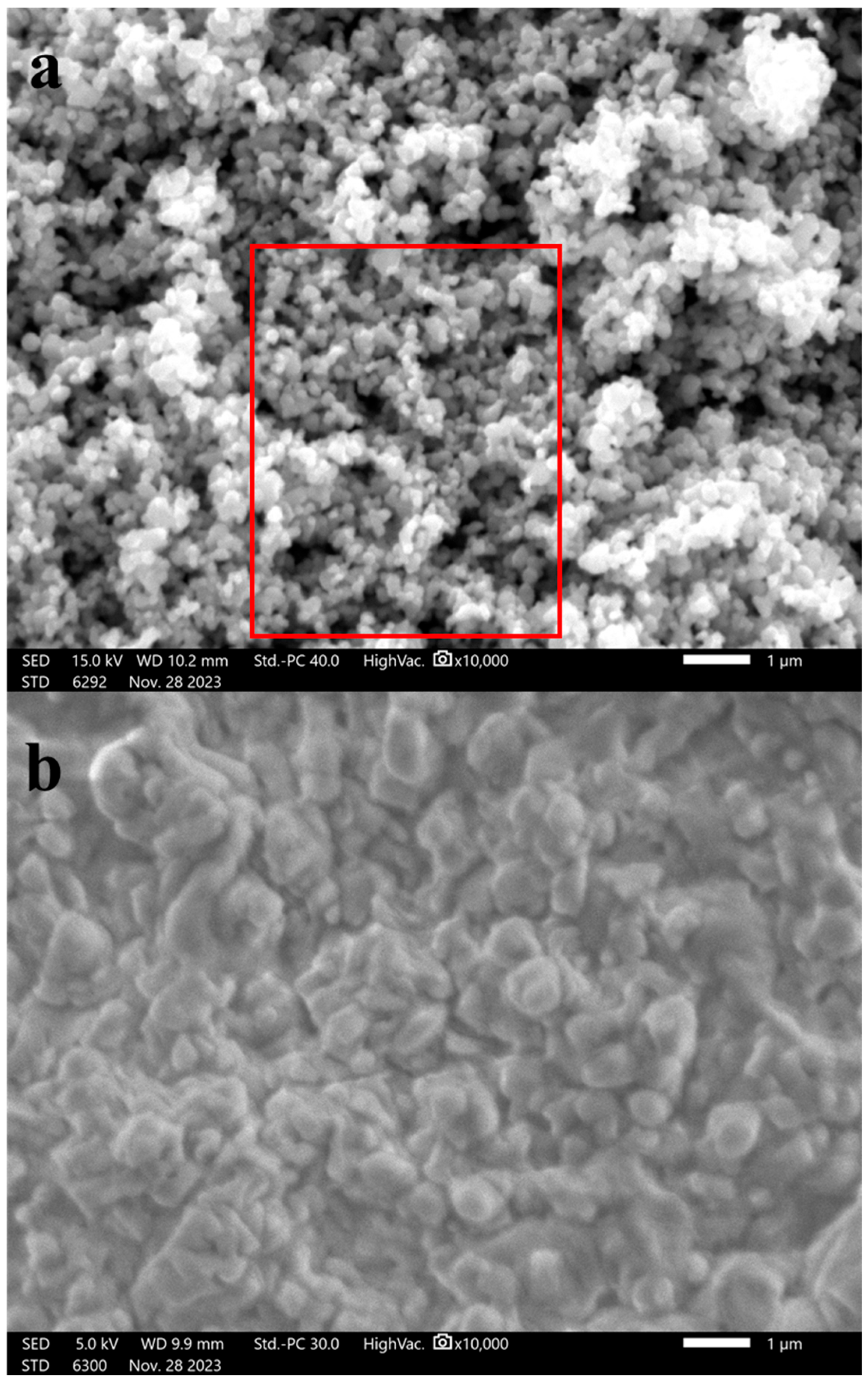 Polymers 17 03283 g001 Polymers 17 03283 g001