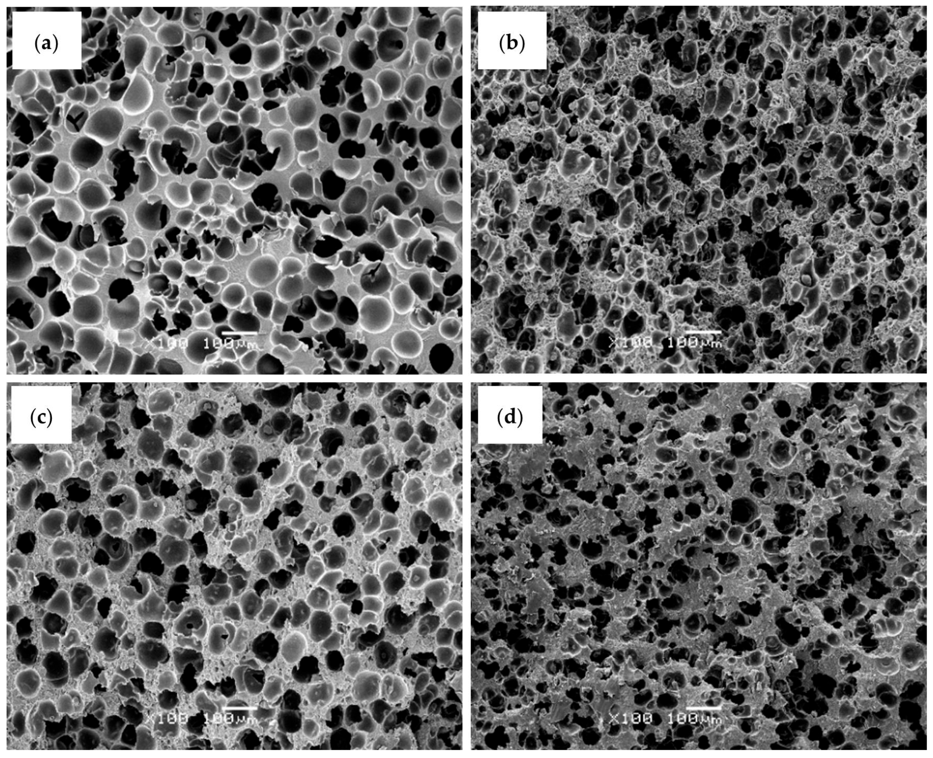 Polymers 17 03285 g001