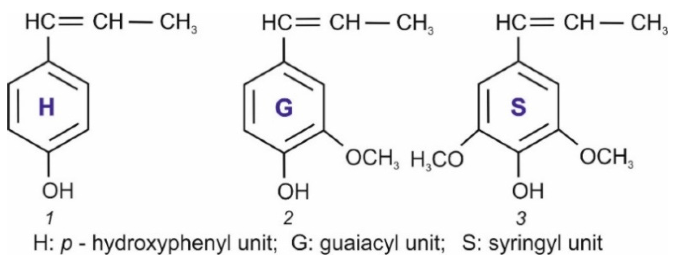 Polymers 17 03288 g001 Polymers 17 03288 g001