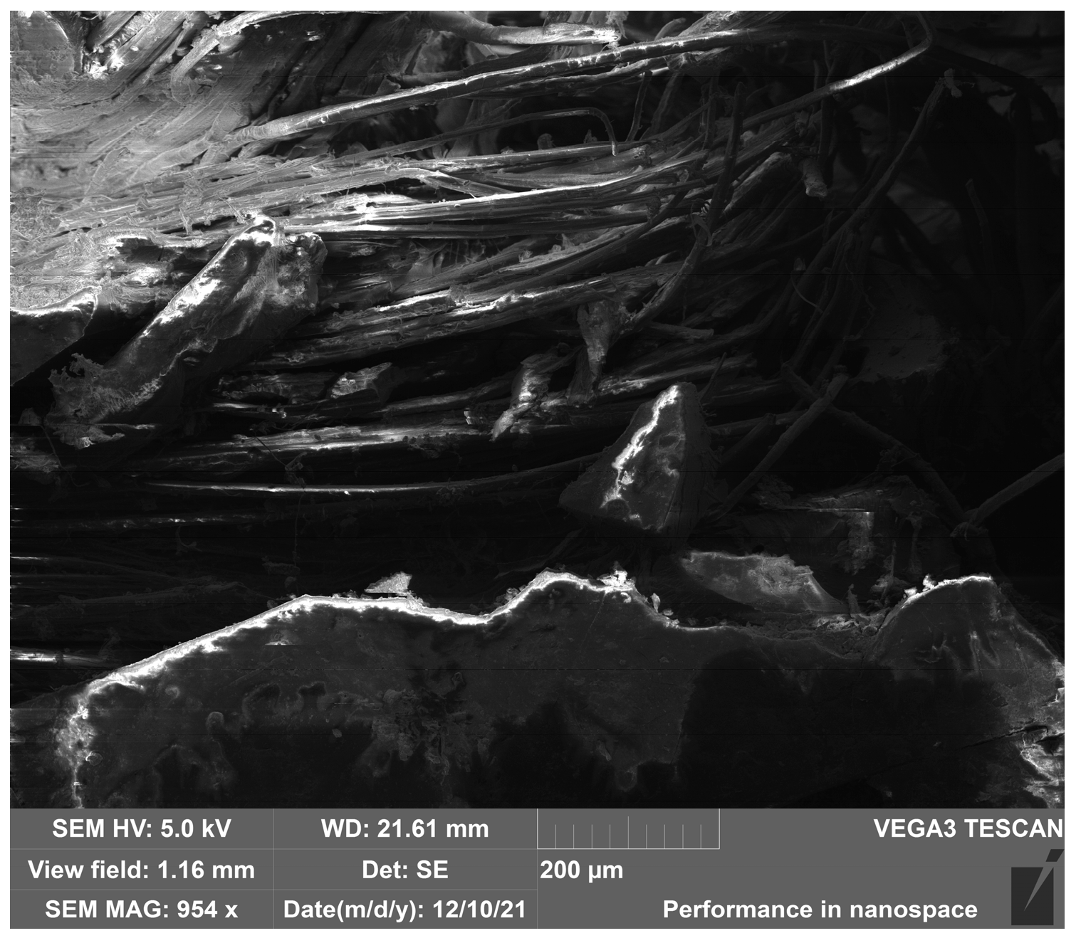 Polymers 17 03295 g015 Polymers 17 03295 g015