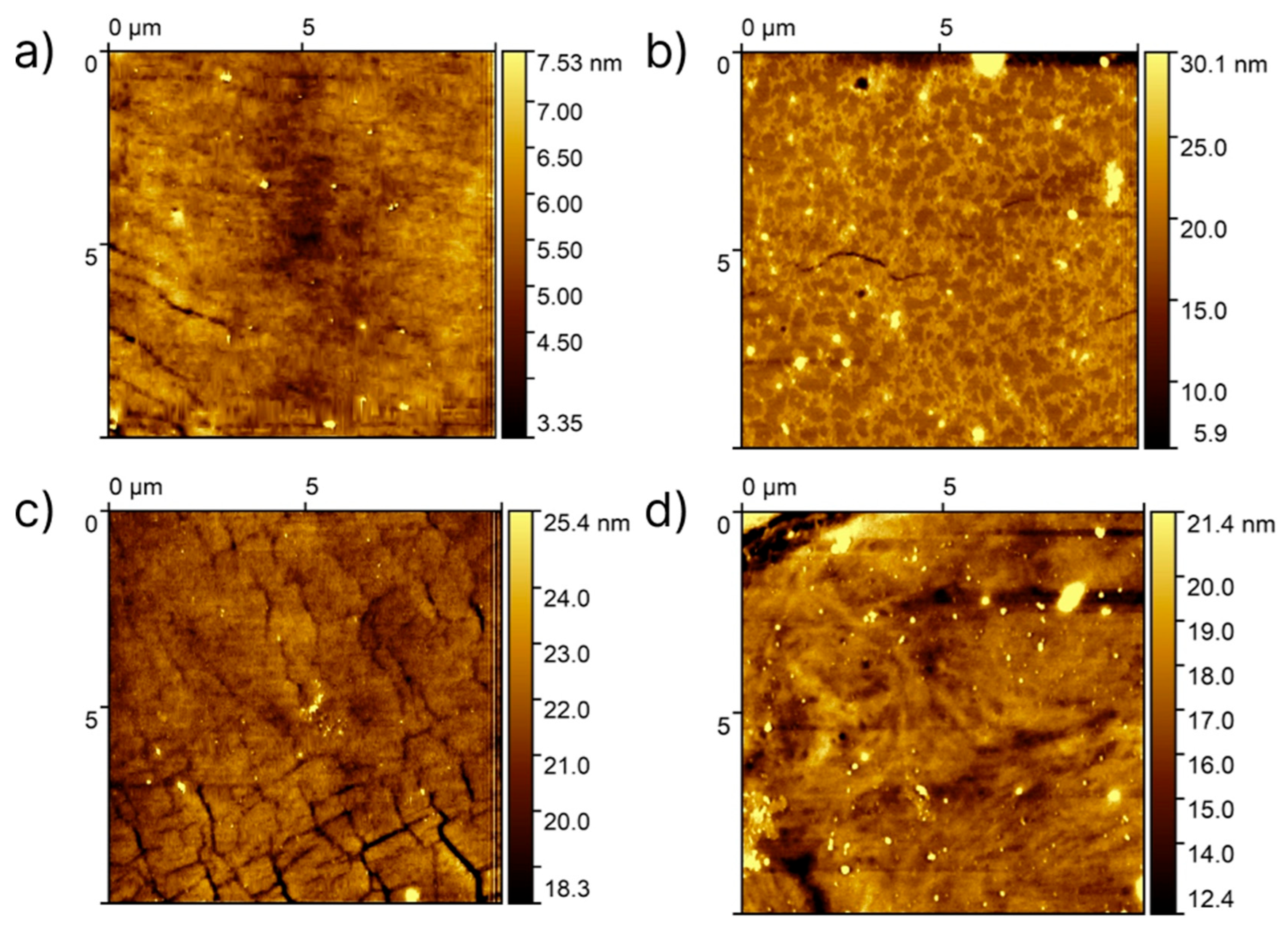 Polymers 17 03296 g004