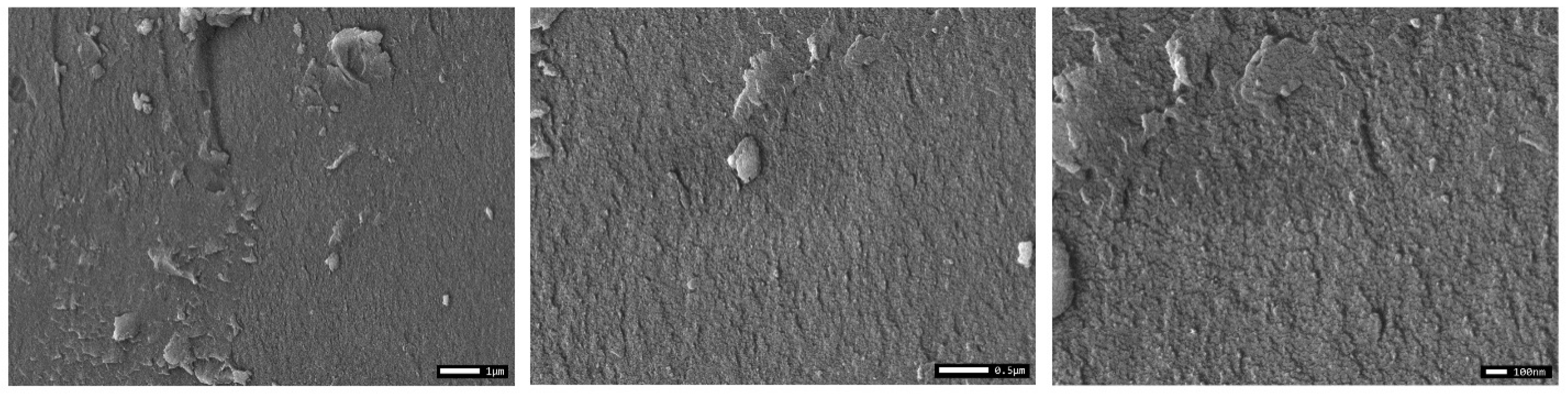 Polymers 17 03306 g011 Polymers 17 03306 g011