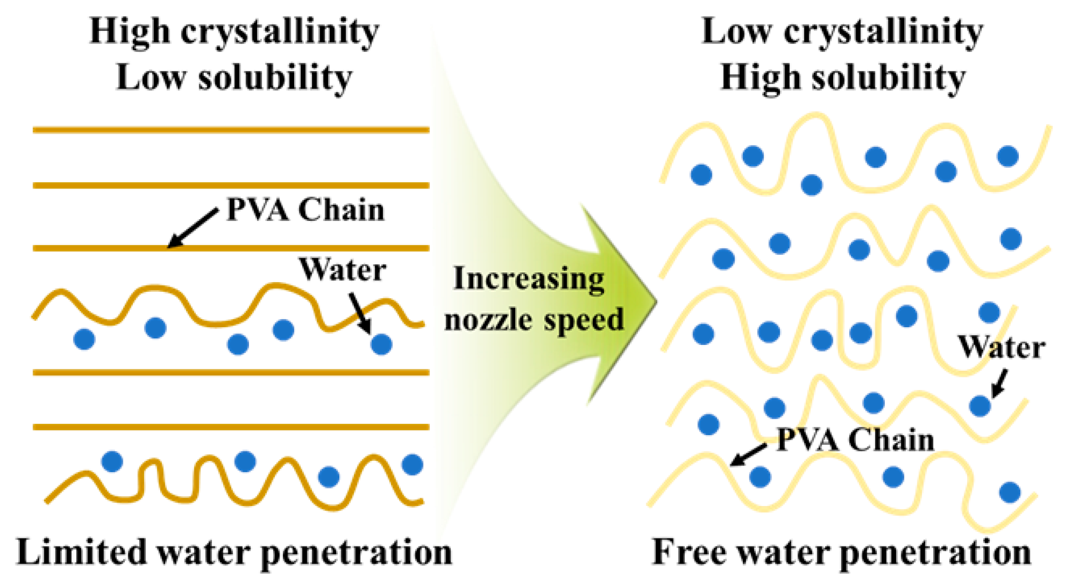 Polymers 17 03320 g003