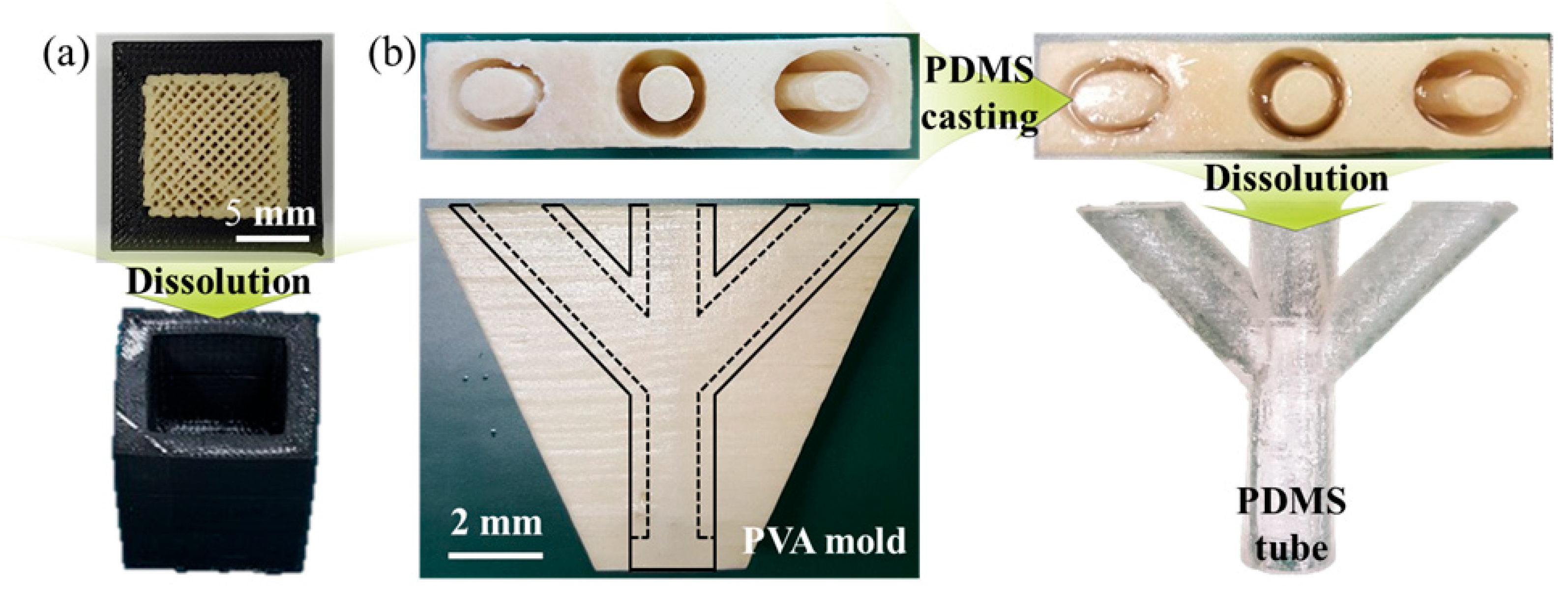 Polymers 17 03320 g004