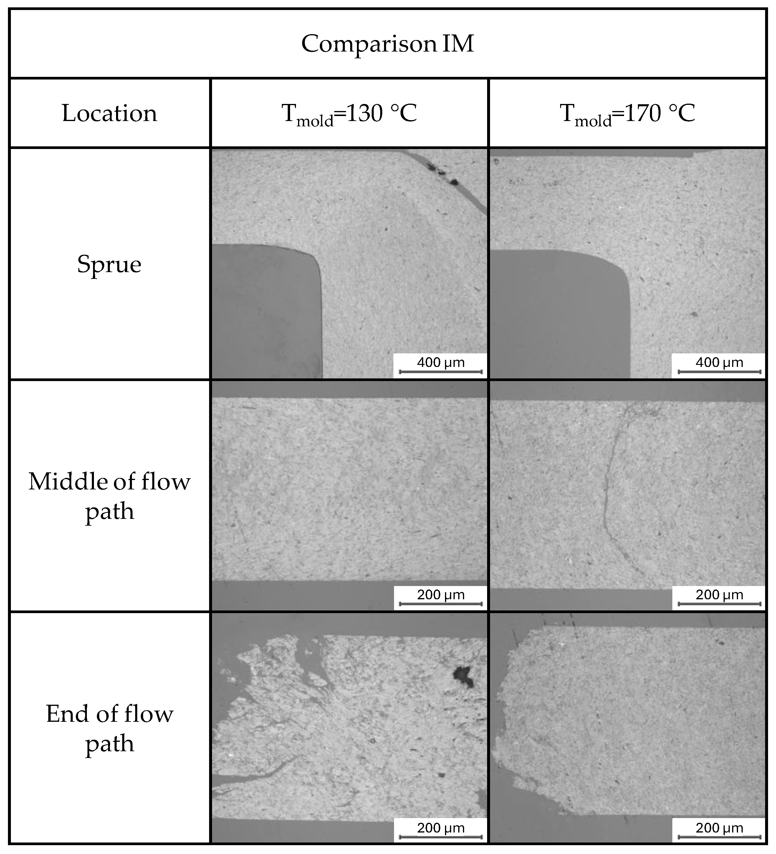 Polymers 17 03322 g010