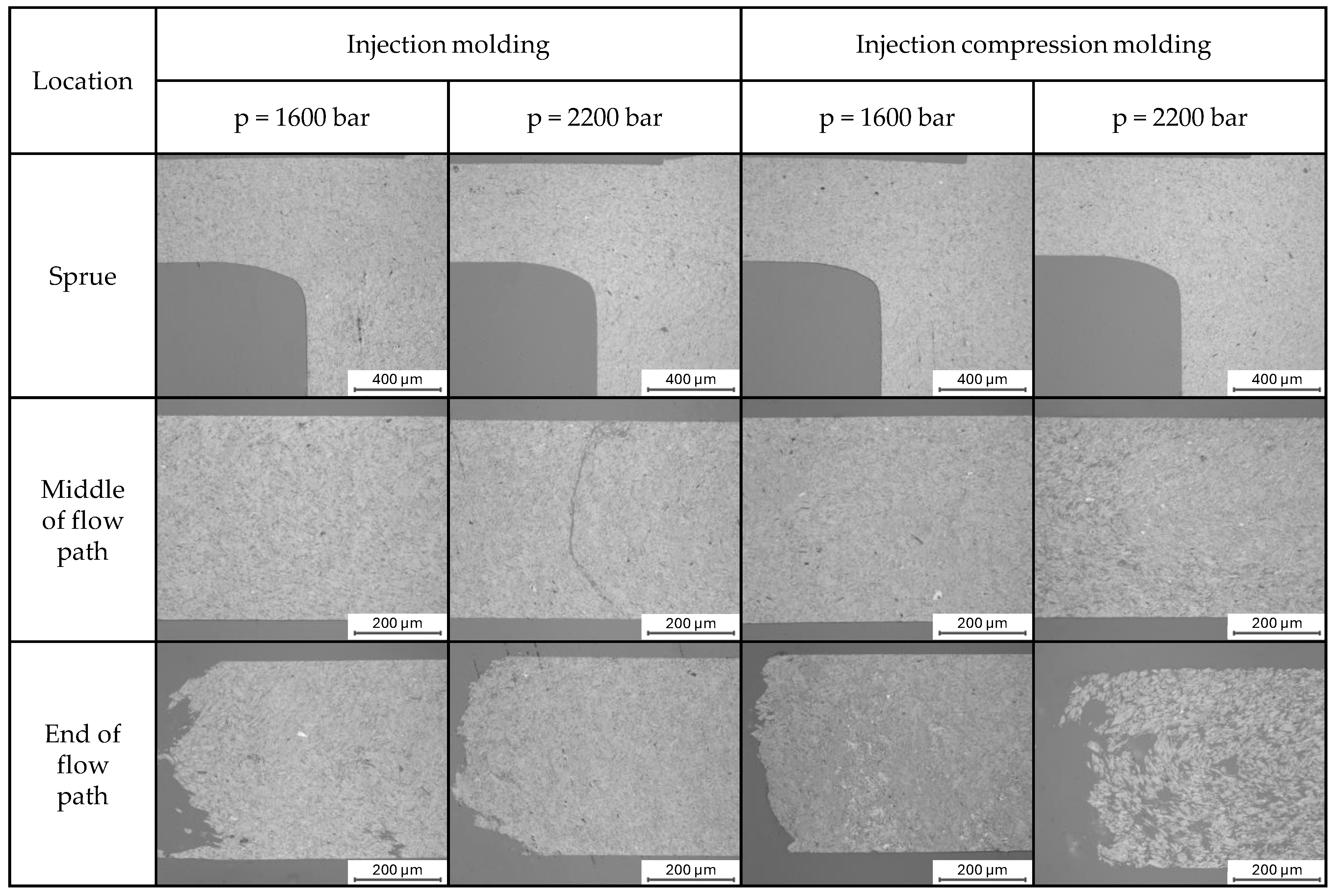 Polymers 17 03322 g011