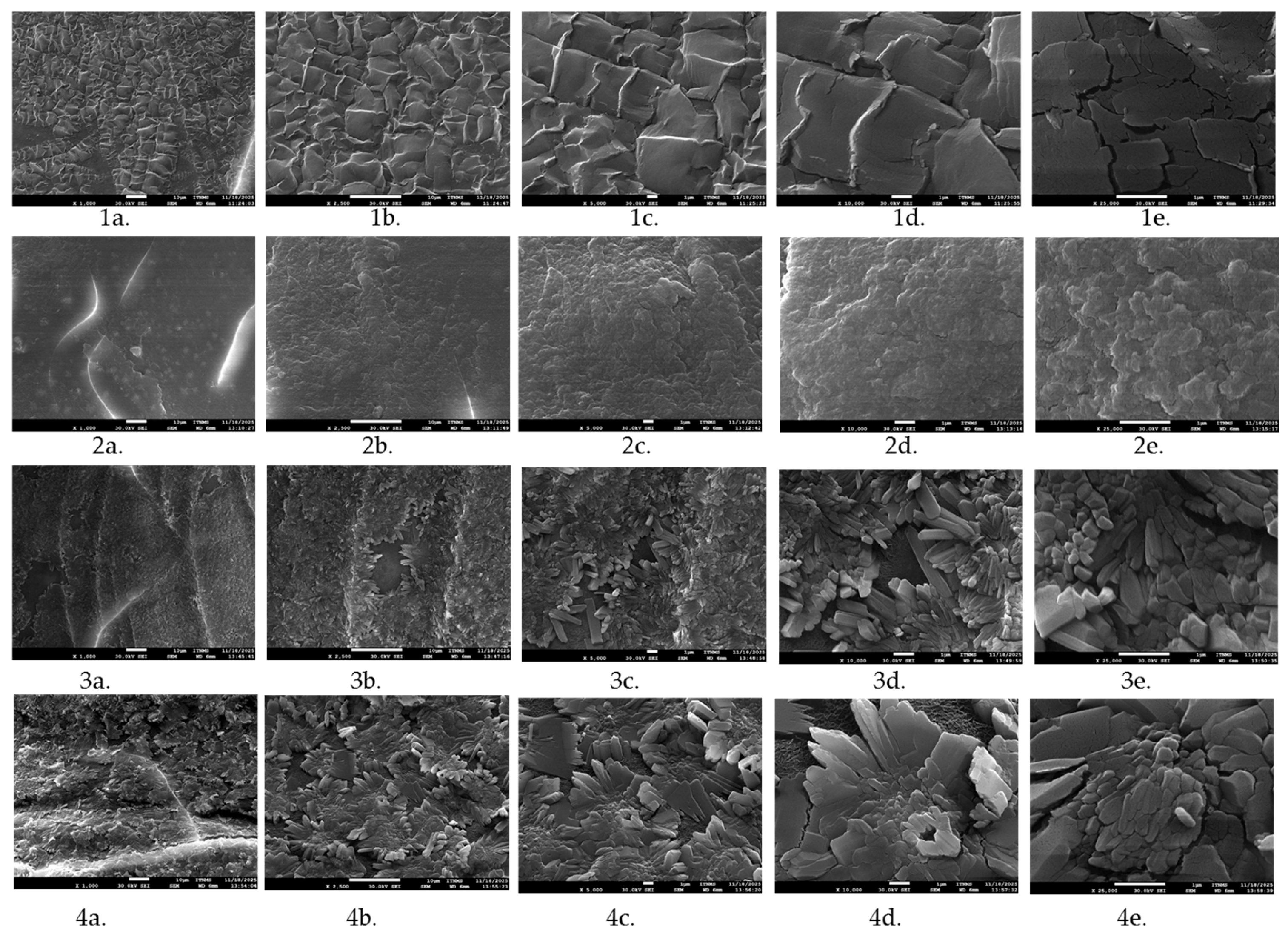 Polymers 17 03323 g005 Polymers 17 03323 g005