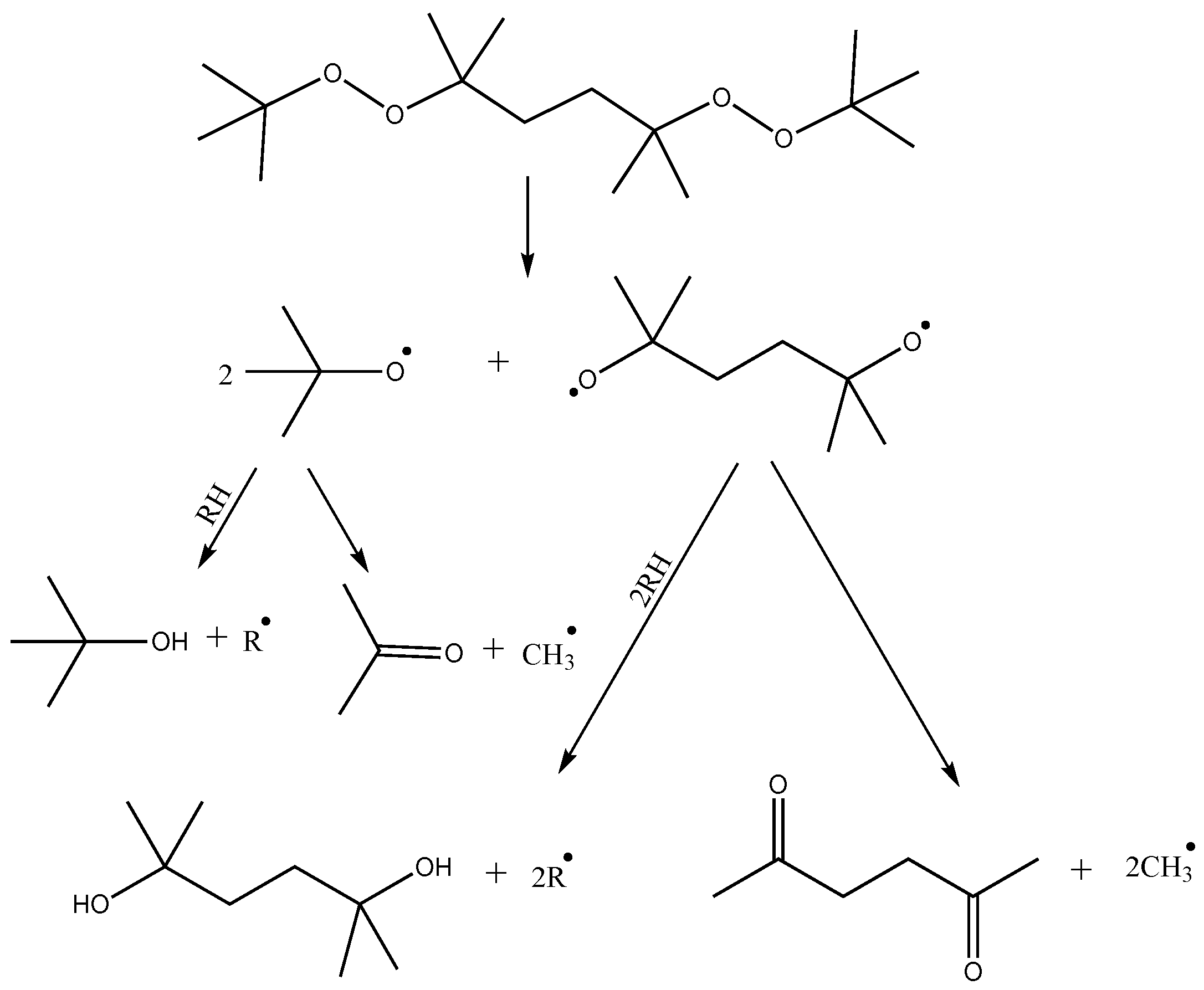 Polymers 17 03325 g005