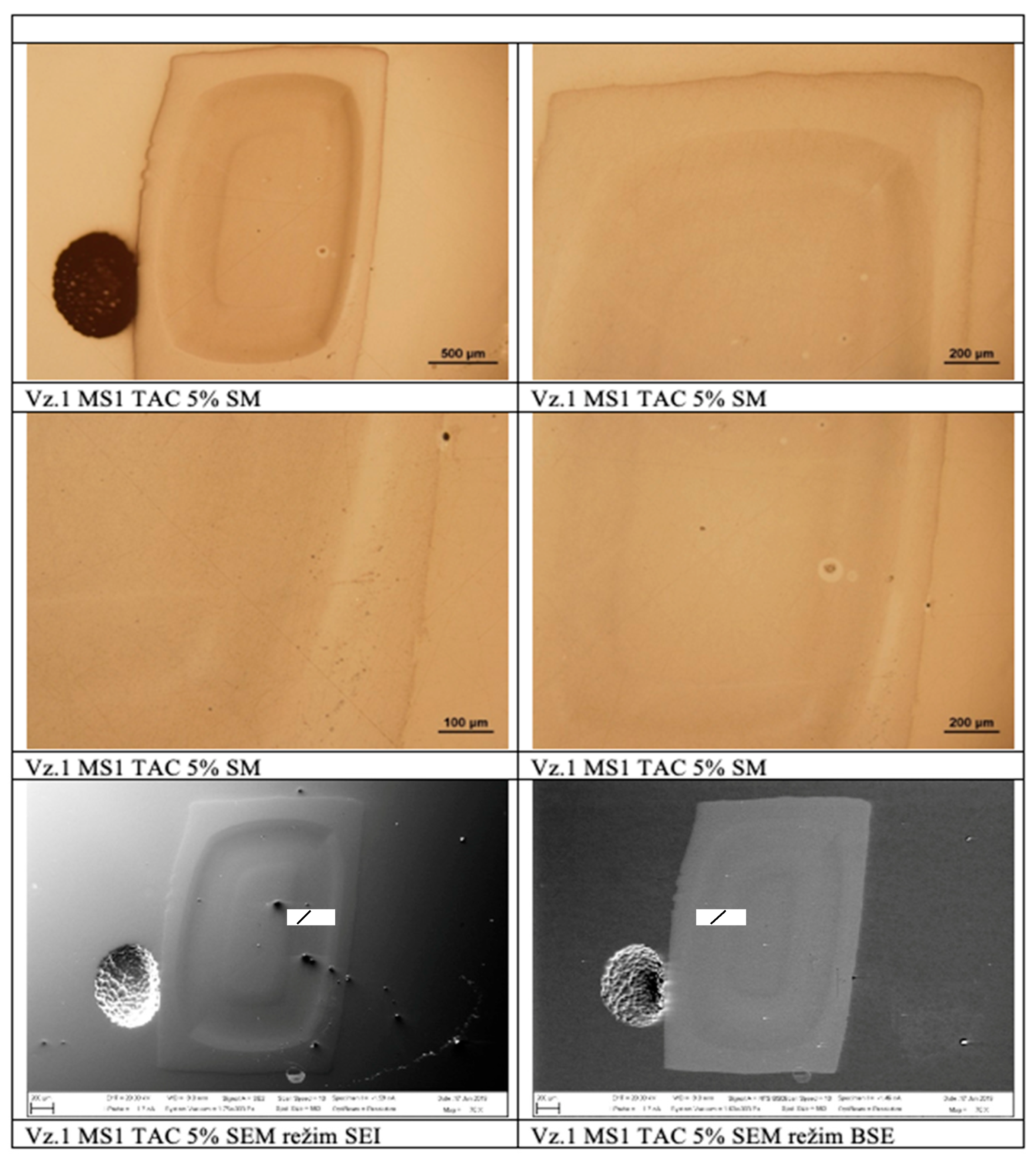 Polymers 17 03328 g014