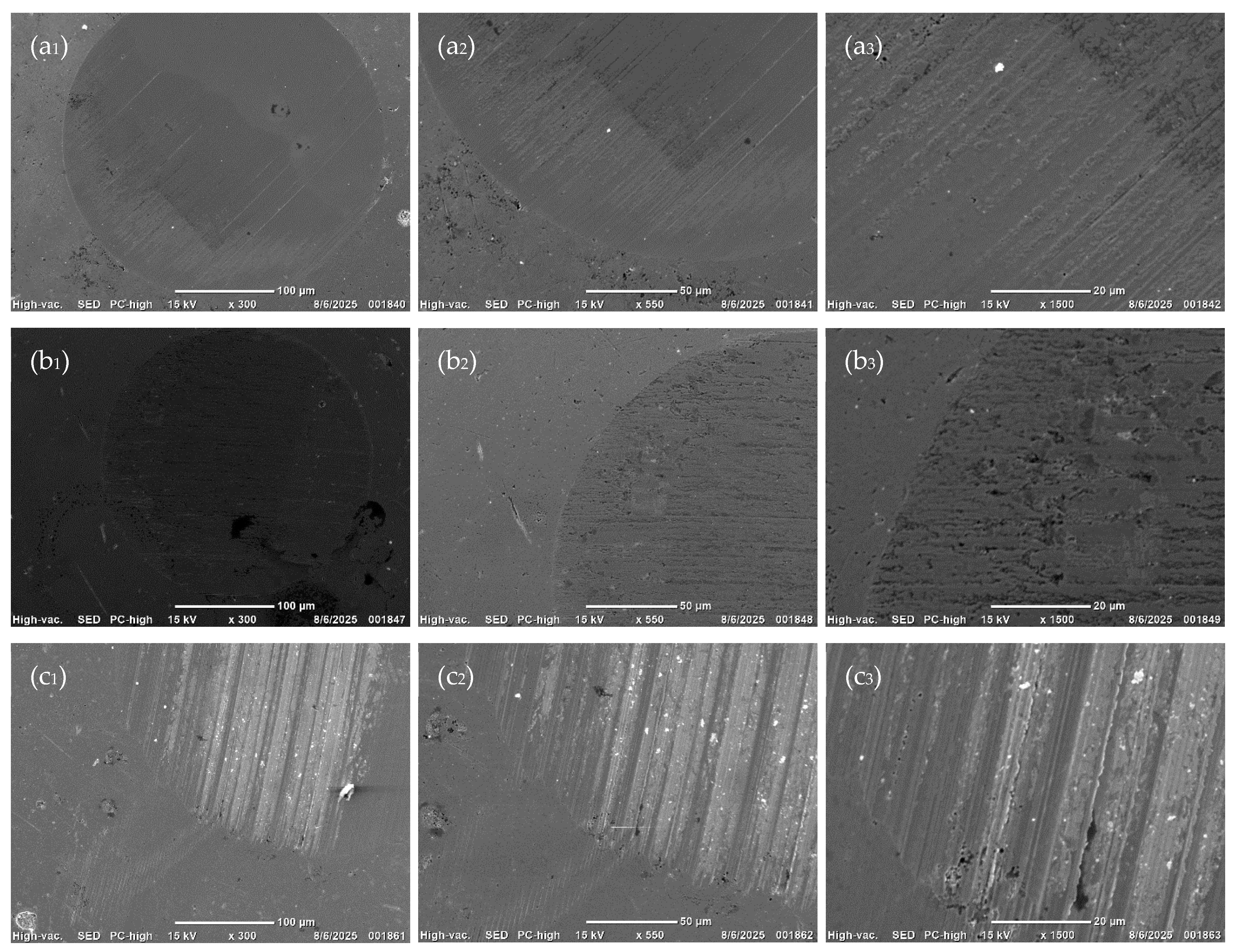 Polymers 17 03333 g008 Polymers 17 03333 g008