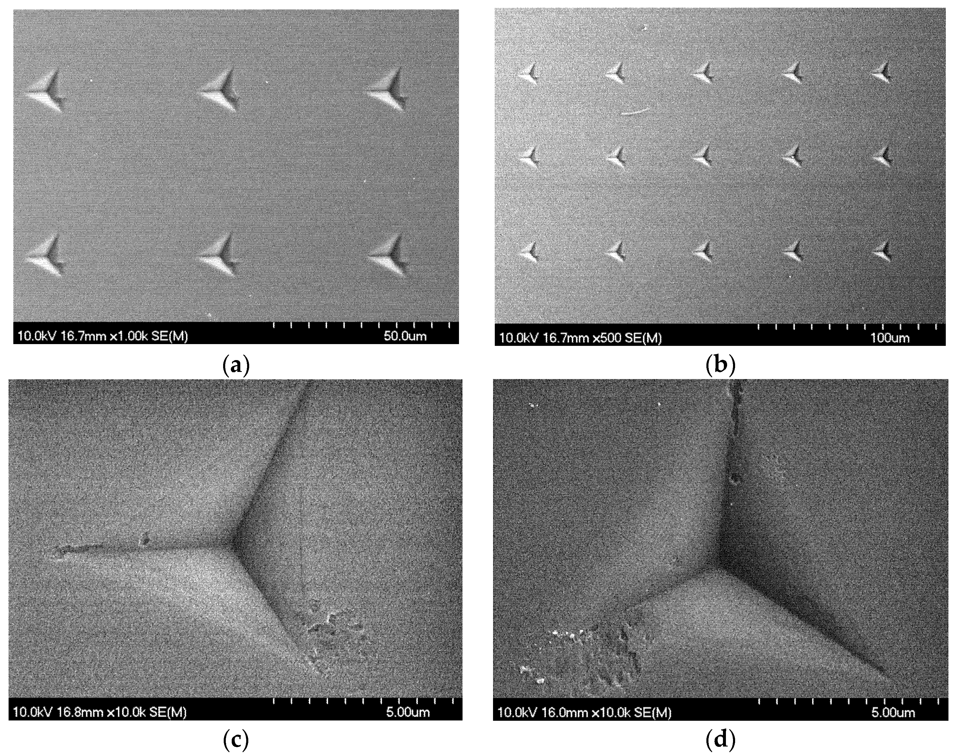 Polymers 17 03337 g005