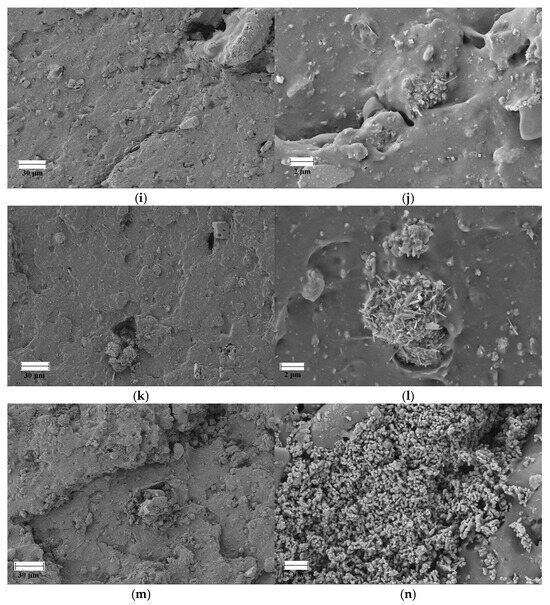 Polimeri 18 00006 g007b
