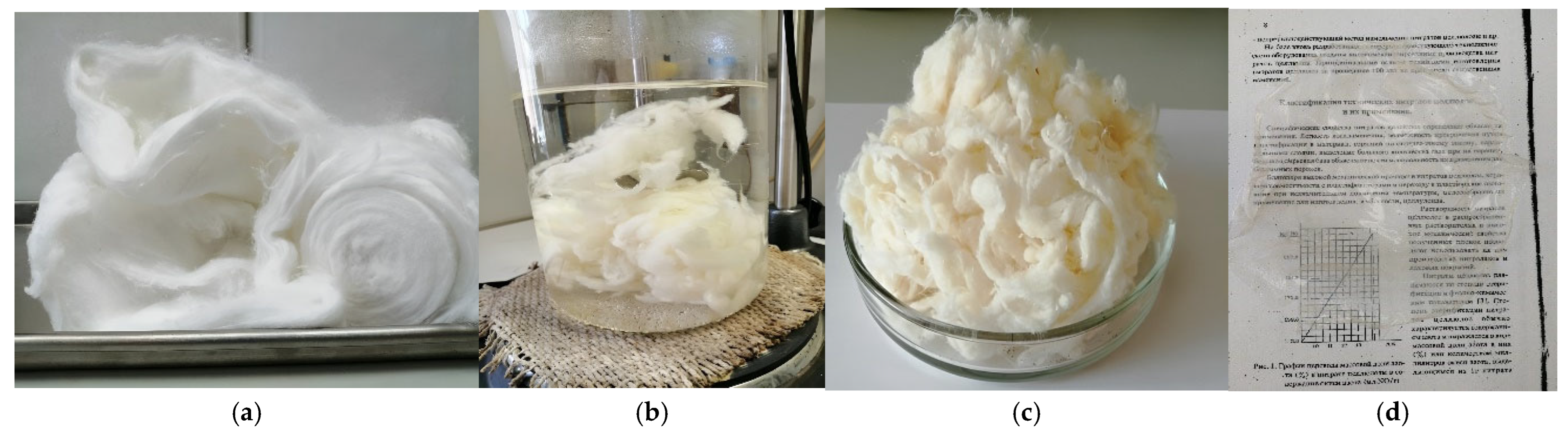 Polymers 18 00010 g001