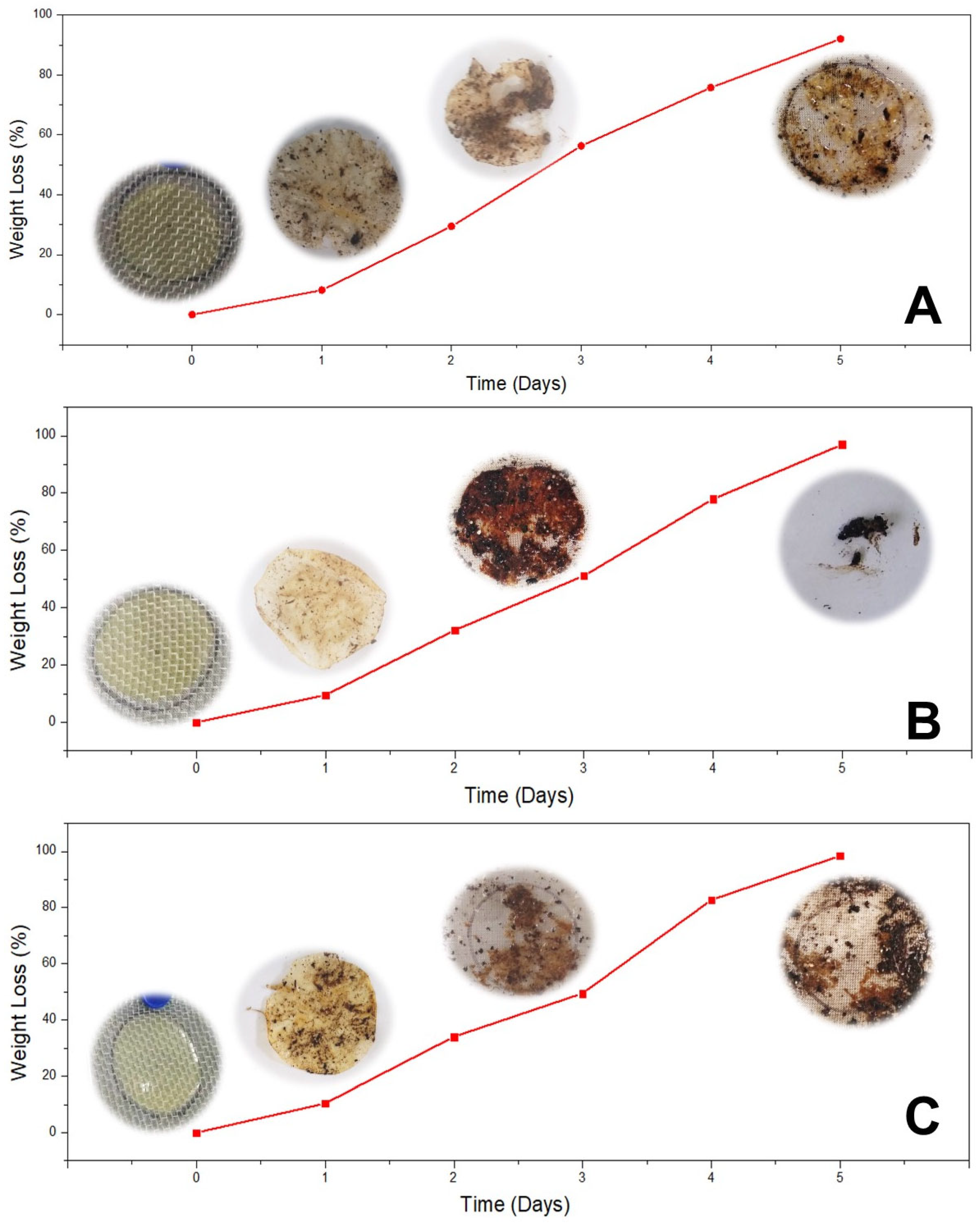 Polymers 18 00023 g006