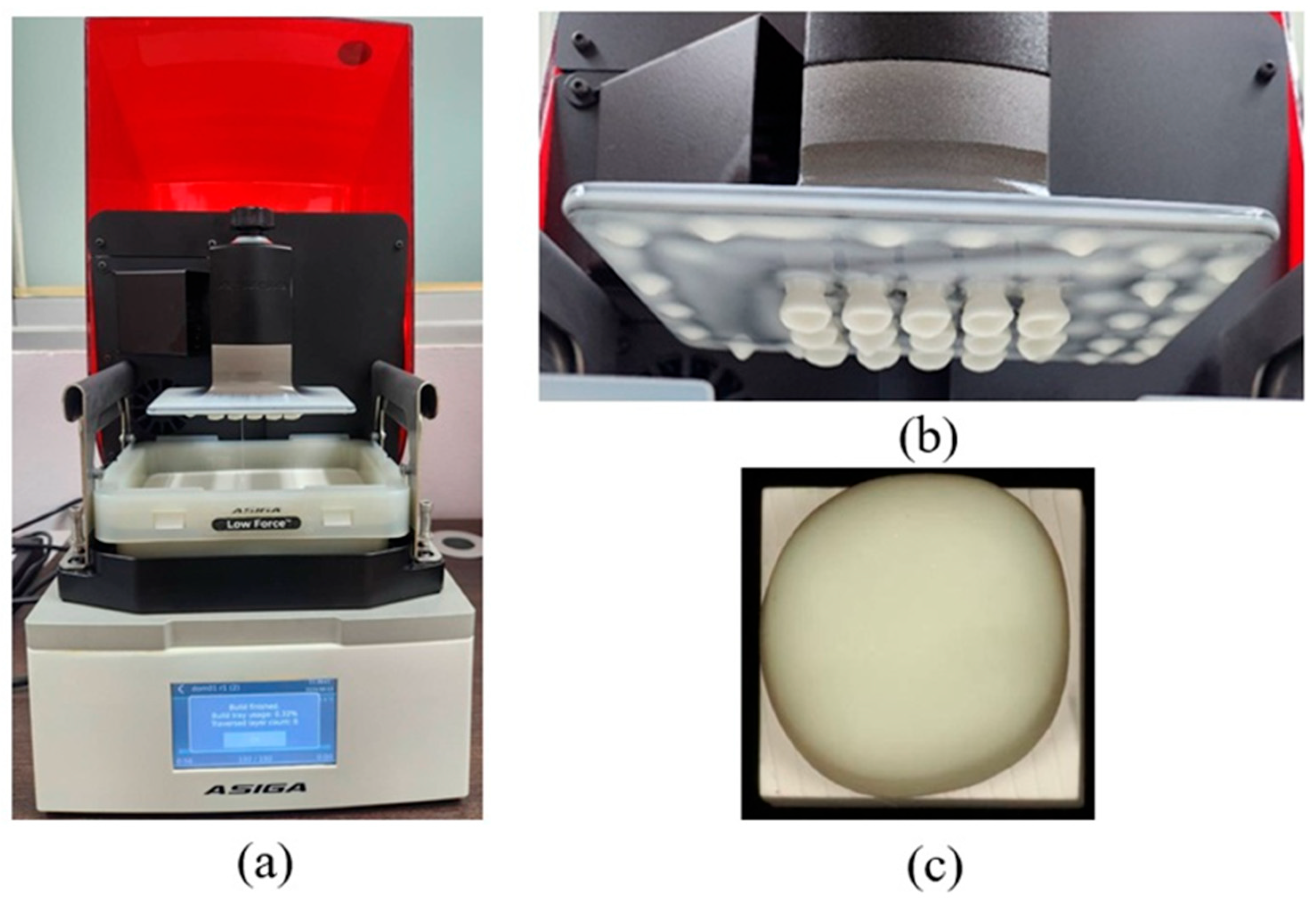 Polymers 18 00025 g003