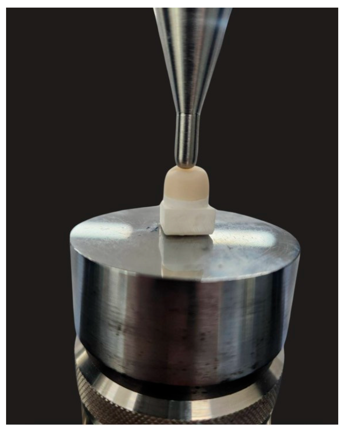 Polymers 18 00025 g004