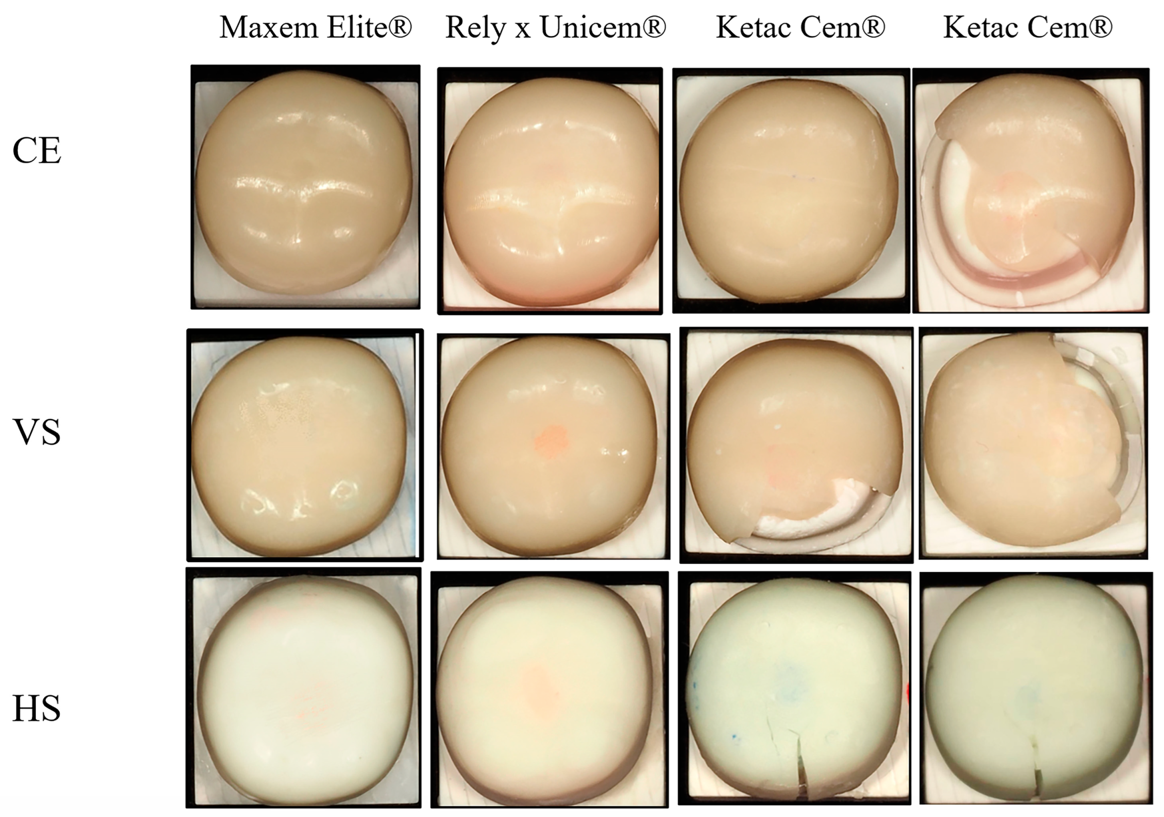 Polymers 18 00025 g005