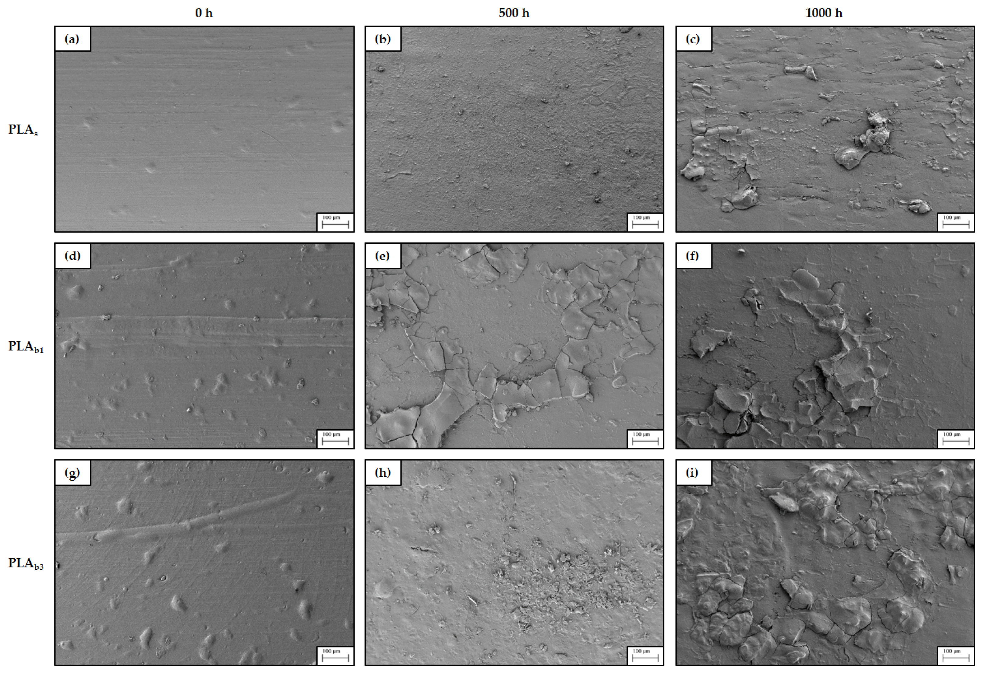 Polymers 18 00030 g010