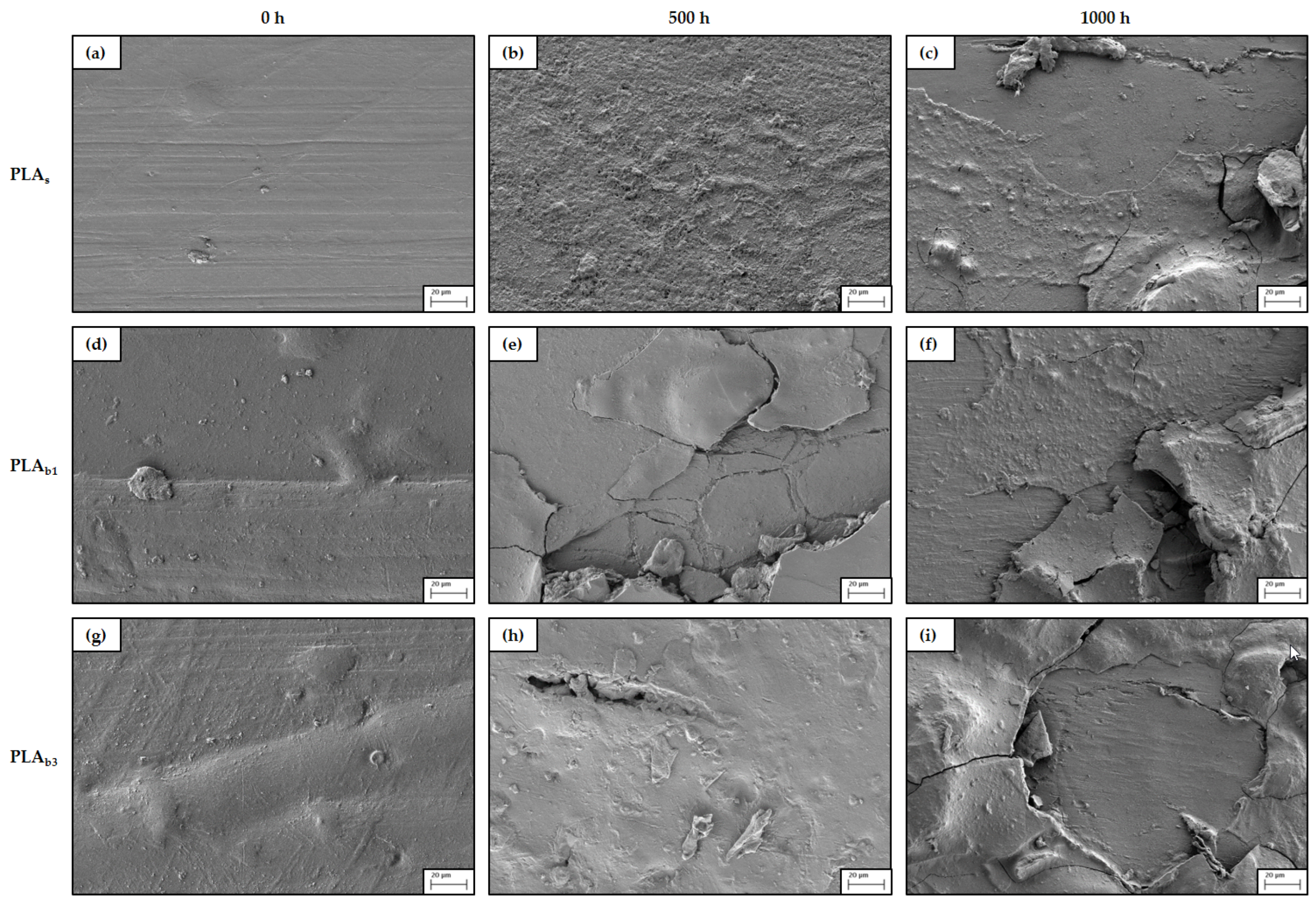 Polymers 18 00030 g011