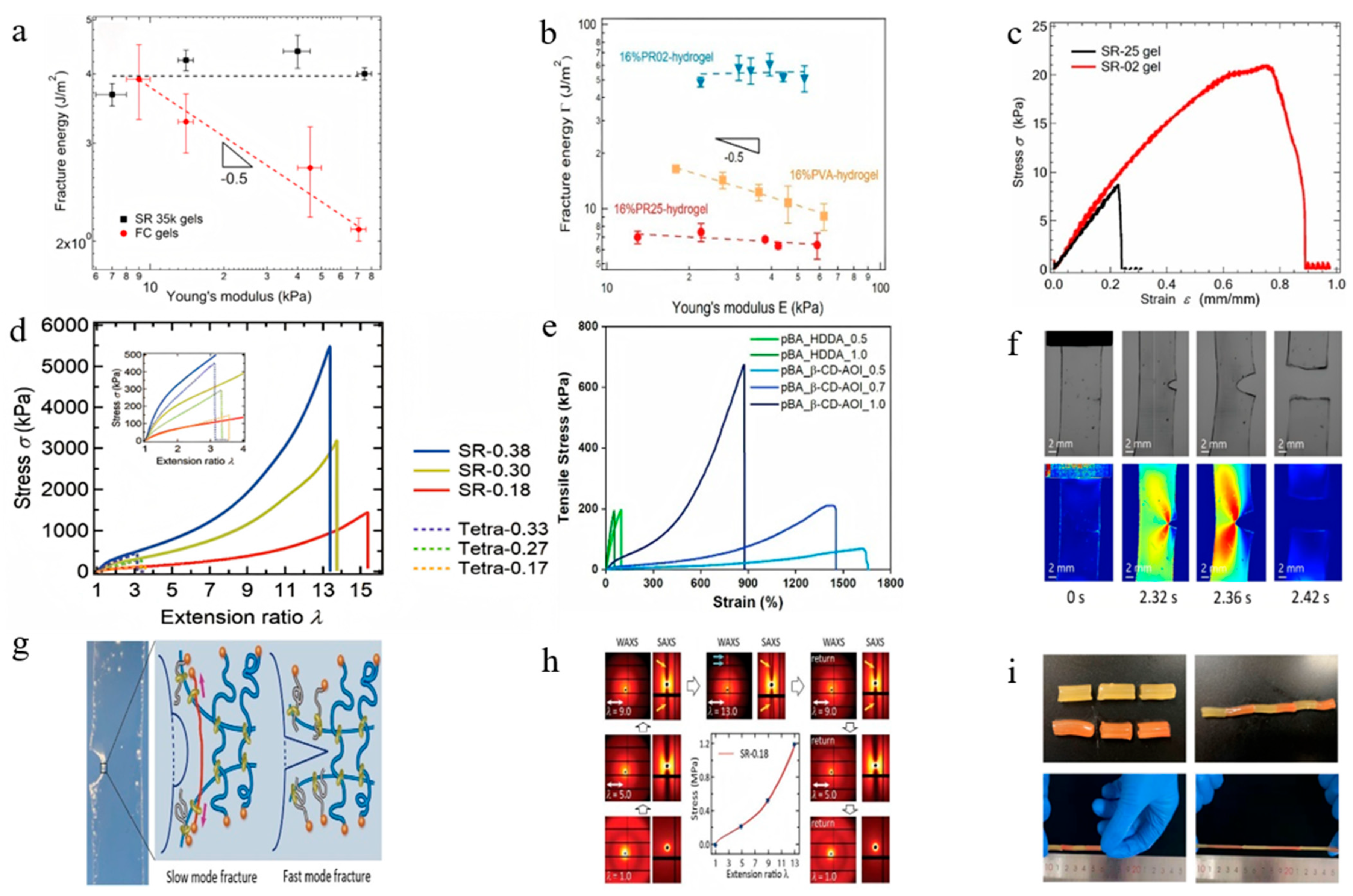 Polymers 18 00037 g014