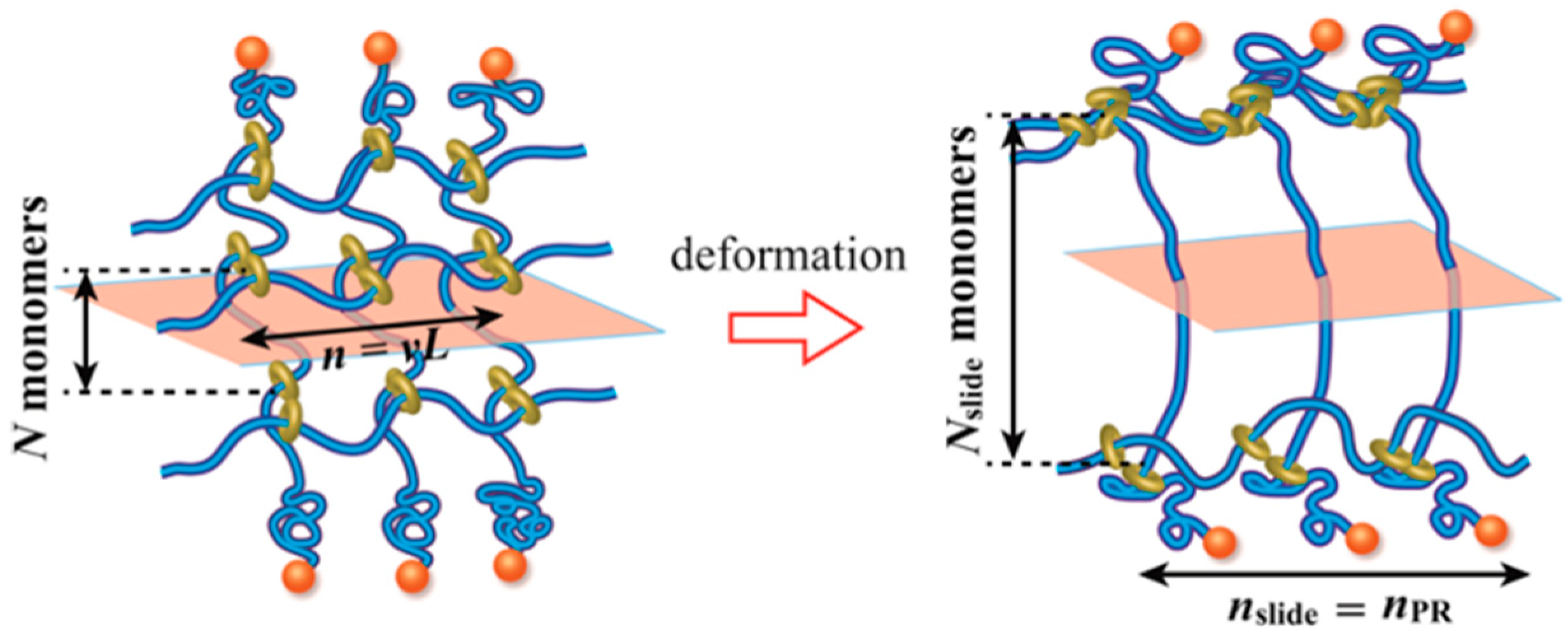 Polymers 18 00037 g017
