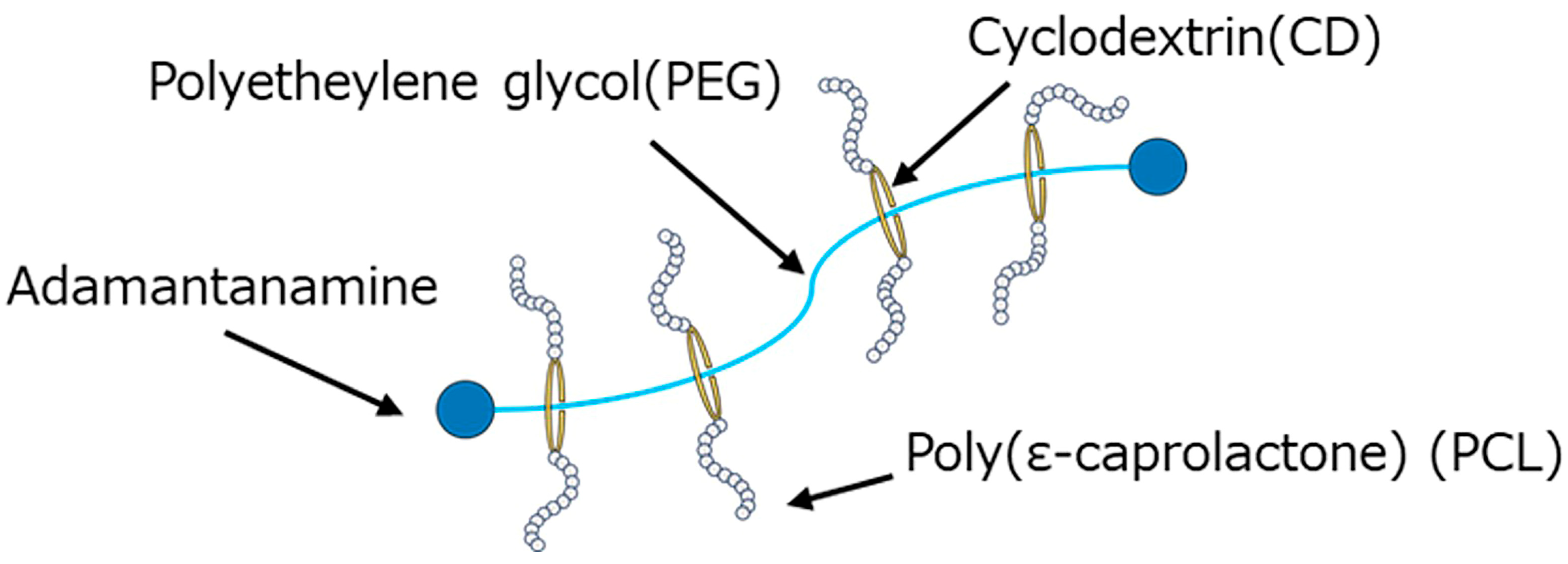 Polymers 18 00038 g001