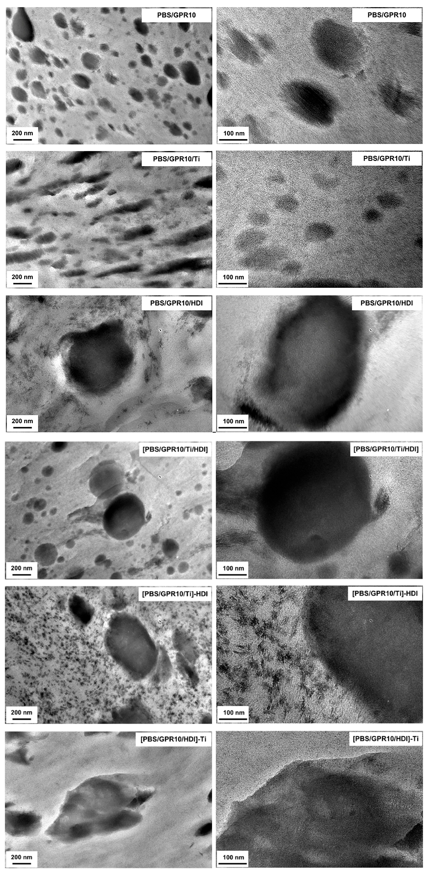 Polymers 18 00038 g010