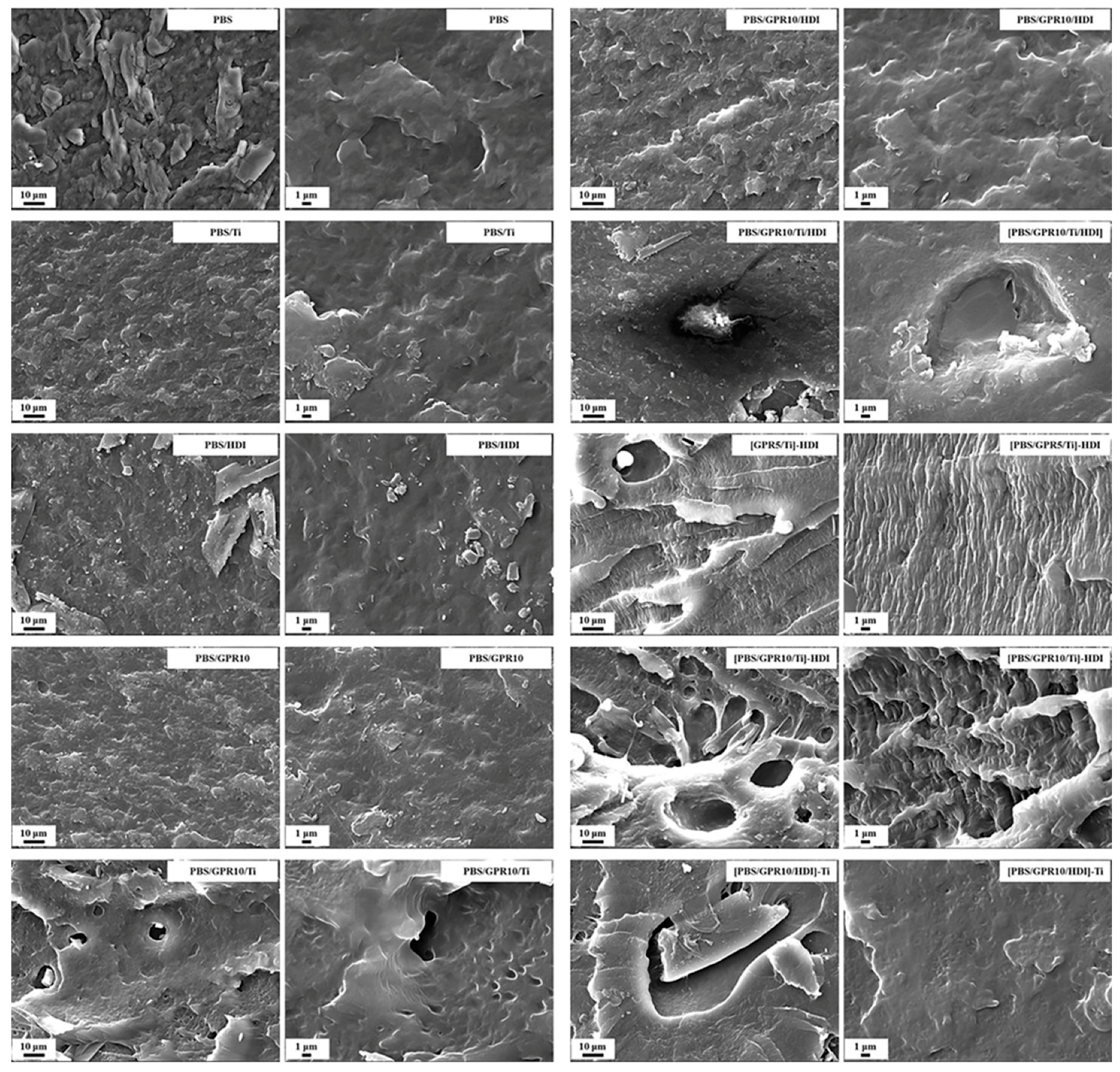 Polymers 18 00038 g012