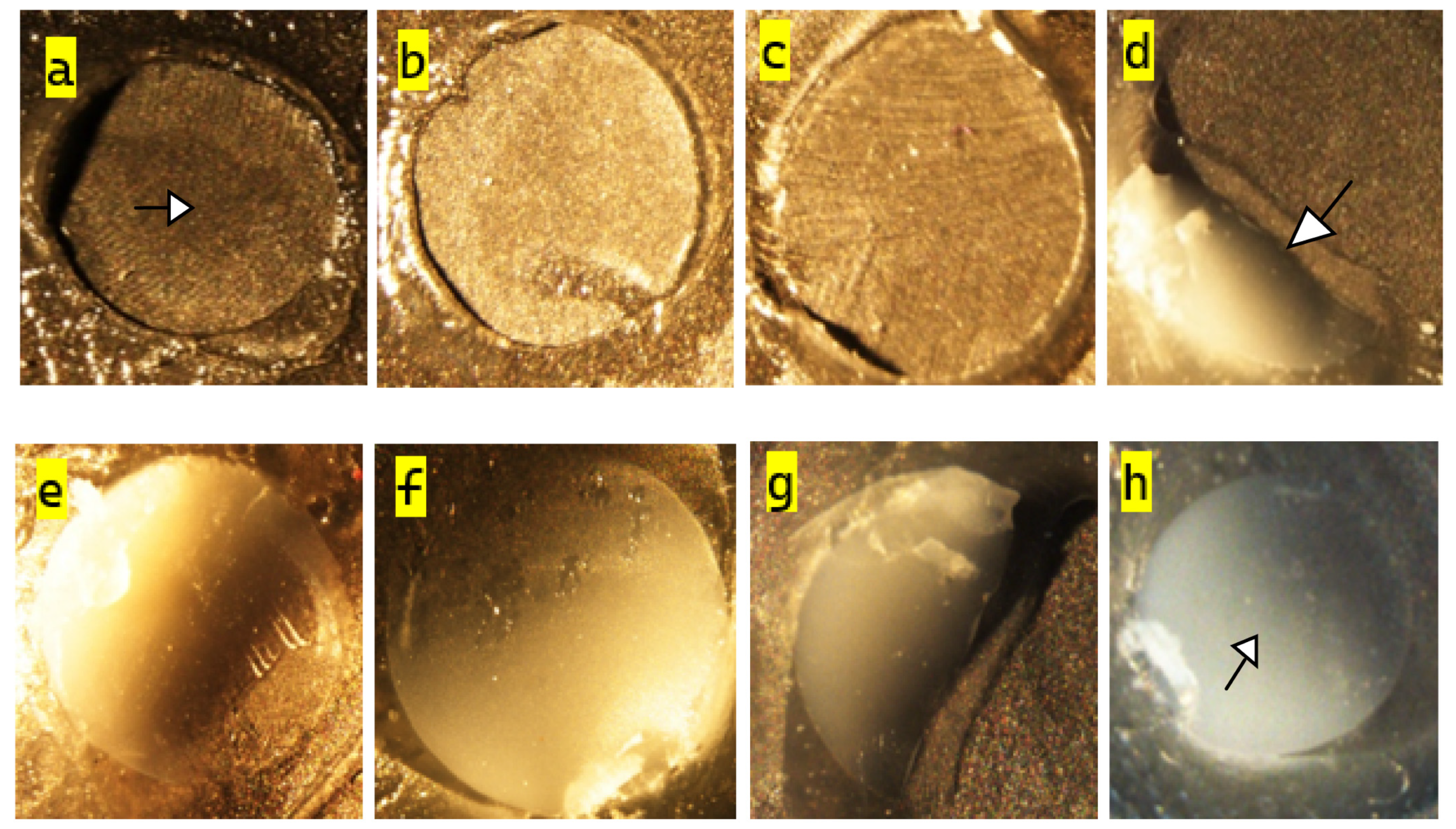 Polymers 18 00056 g004