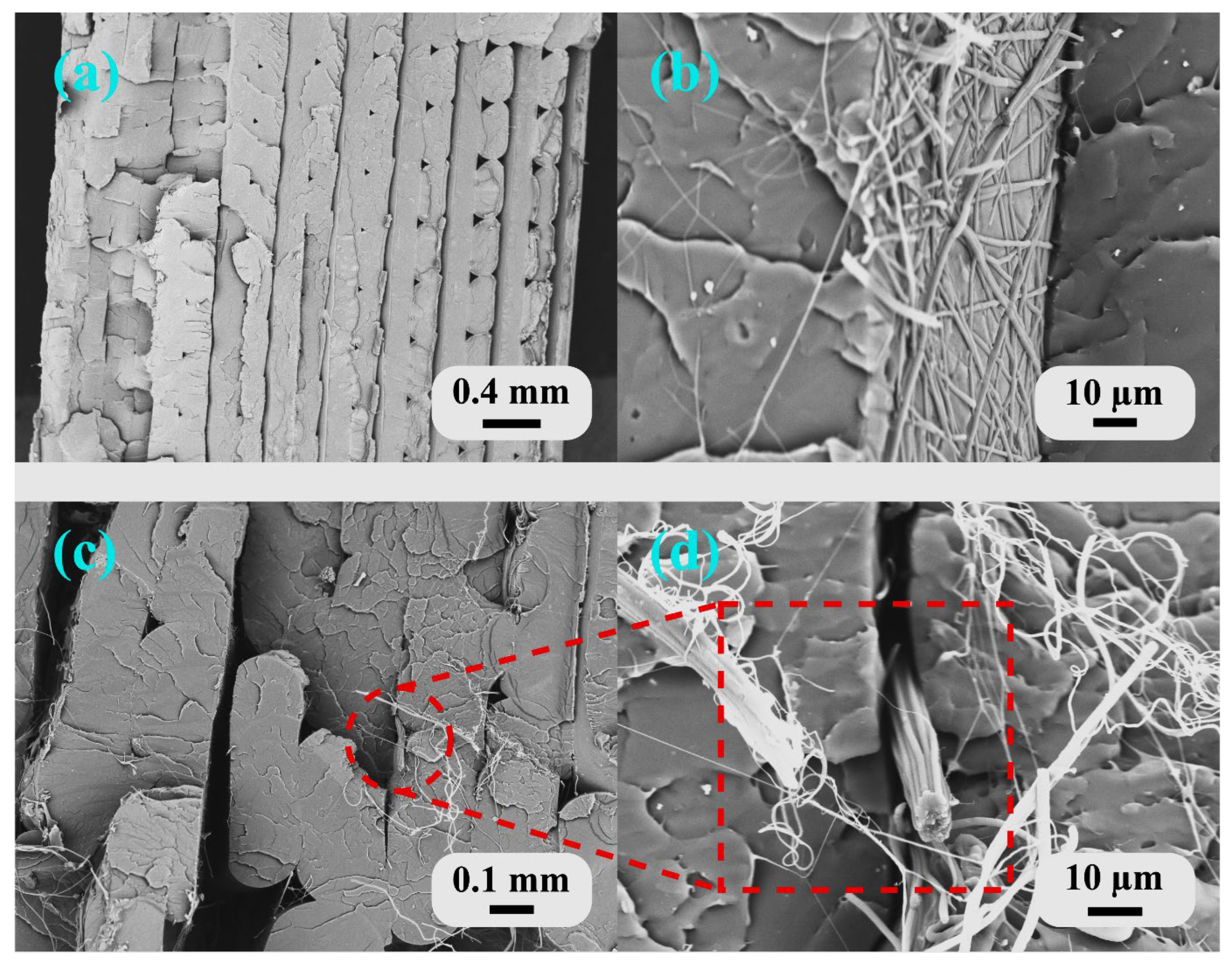 Polymers 18 00078 g007