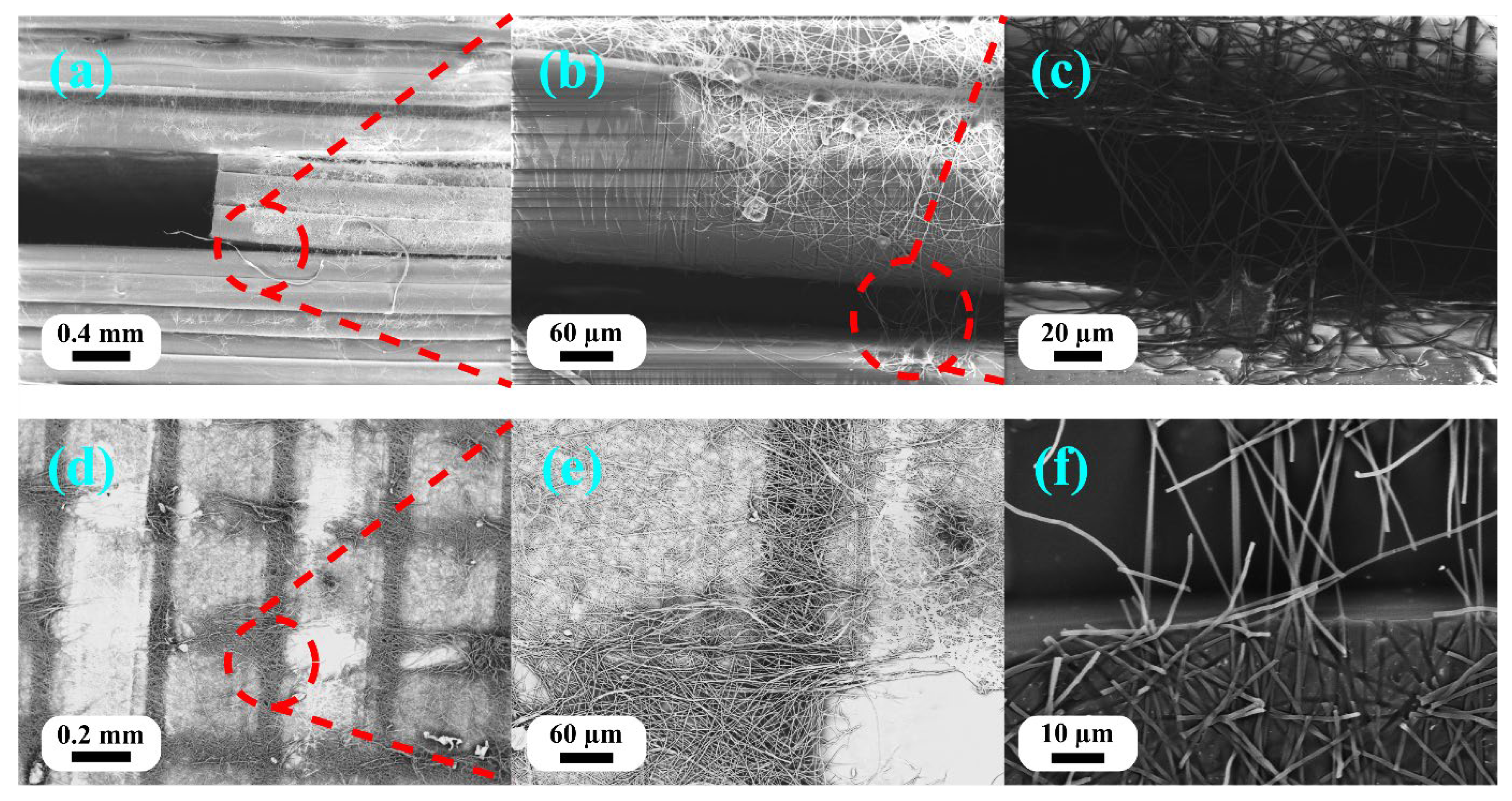 Polymers 18 00078 g008