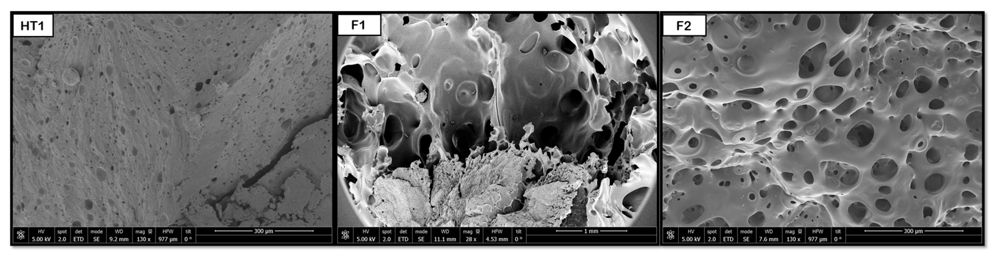 Polymers 18 00081 g015