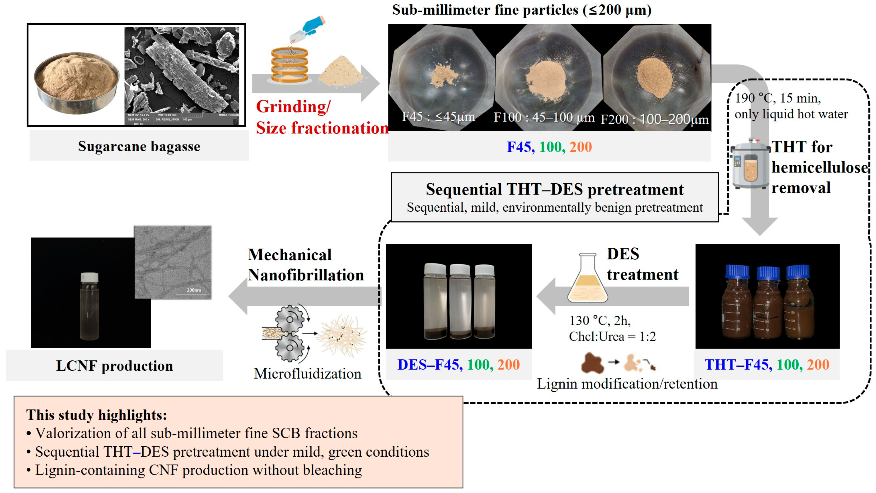 Polymers 18 00085 g001