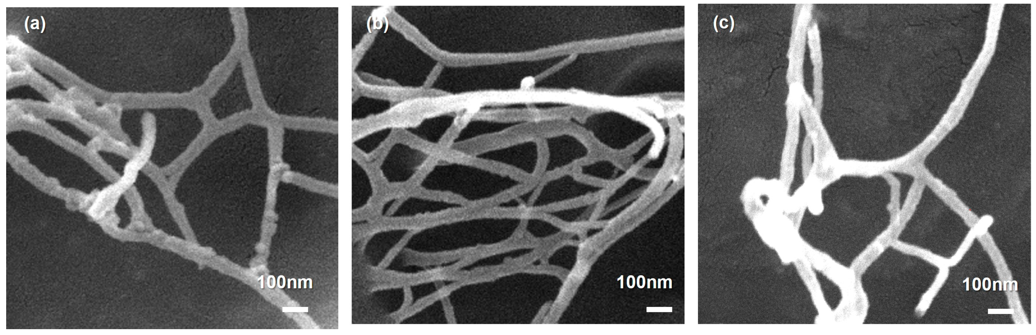Polymers 18 00085 g006