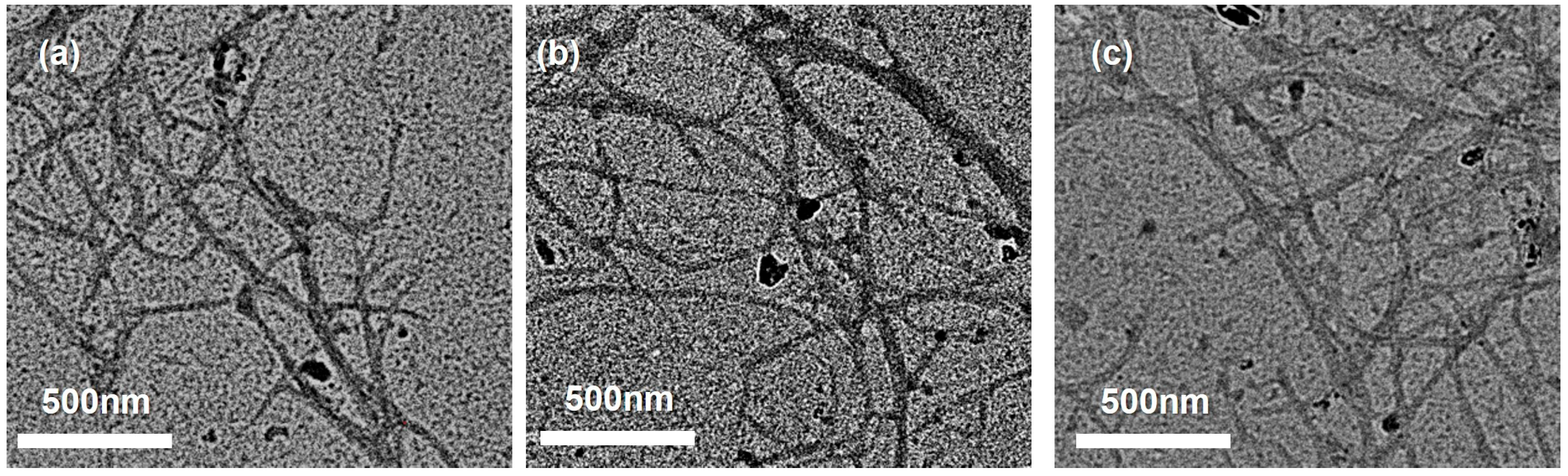 Polymers 18 00085 g007