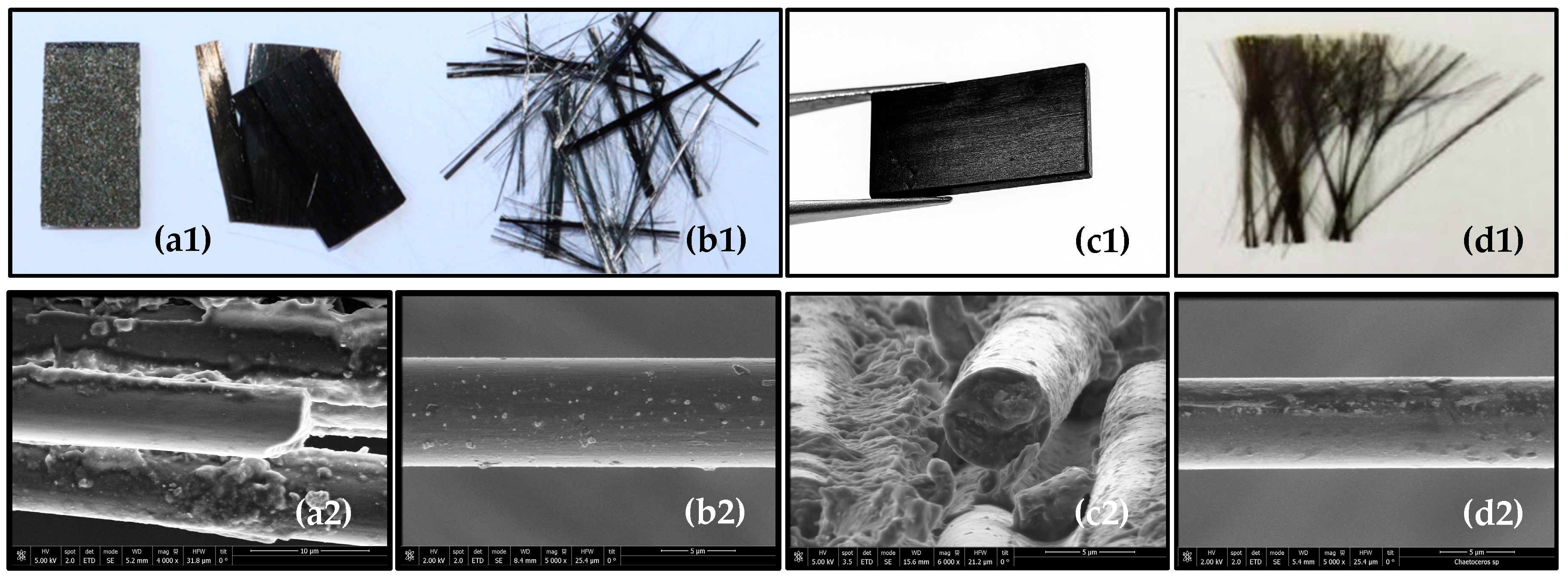 Polymers 18 00089 g012
