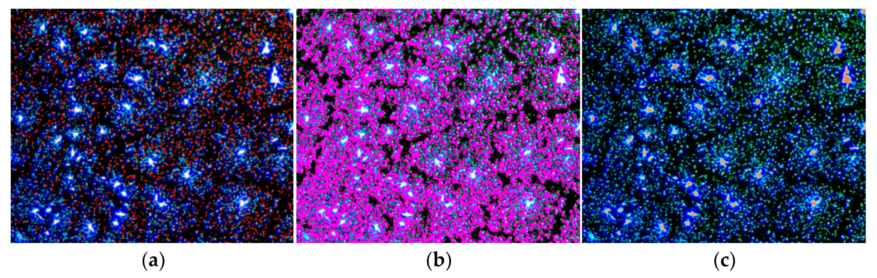 Polymers 18 00090 g002