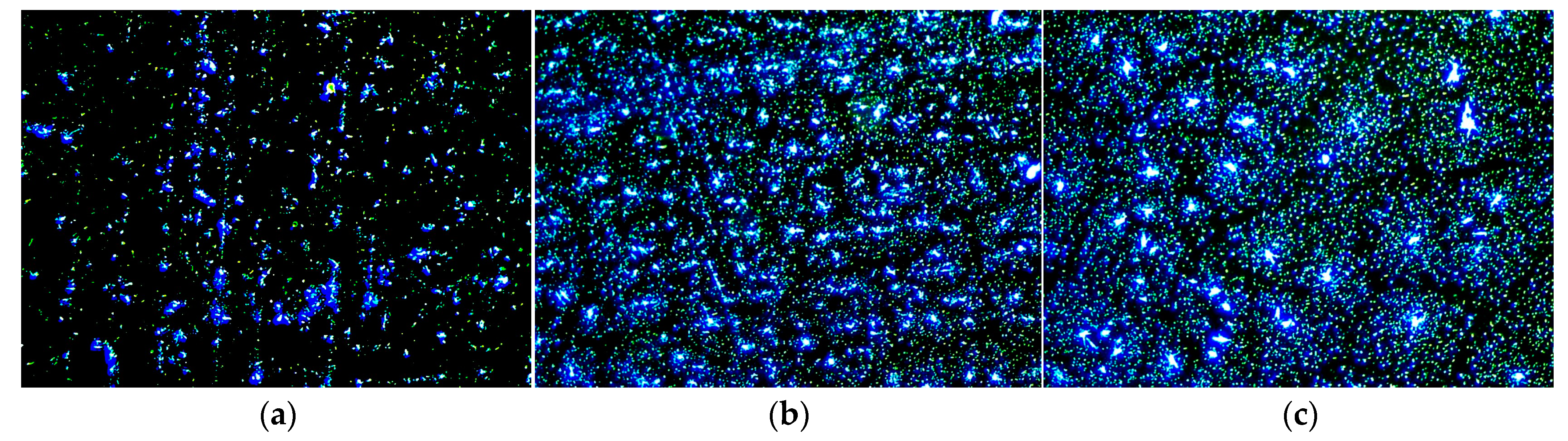 Polymers 18 00090 g010