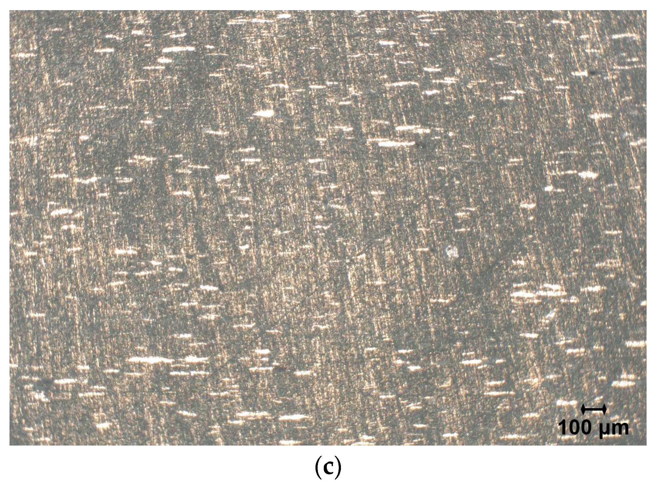 Polymers 18 00093 g002b