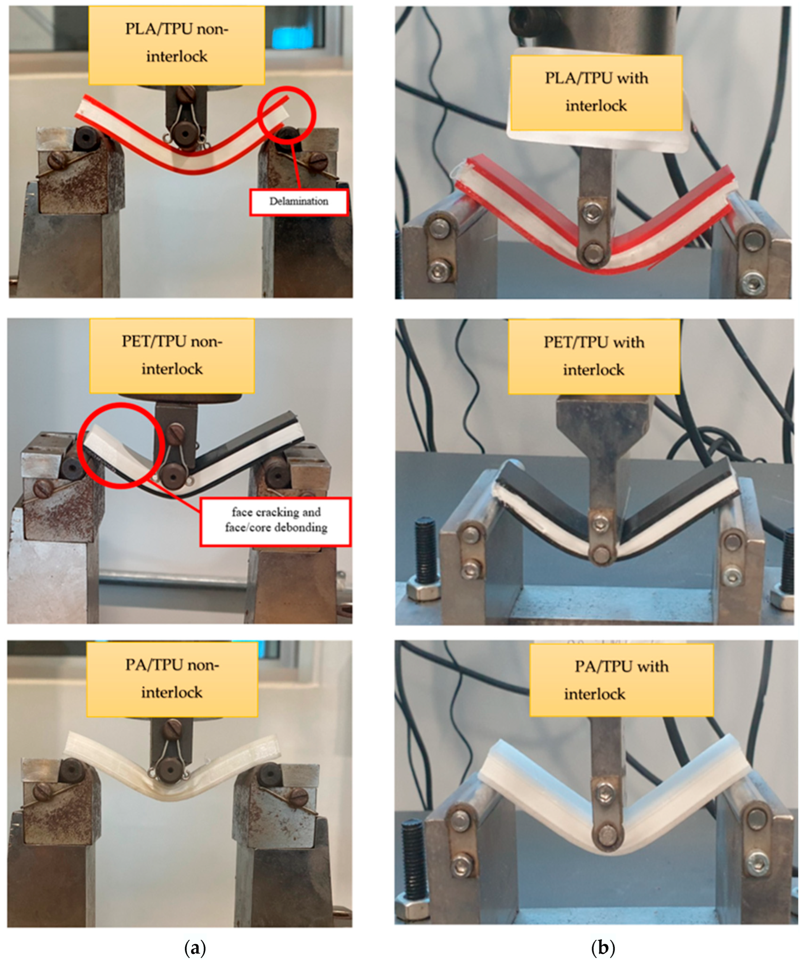 Polymers 18 00094 g012