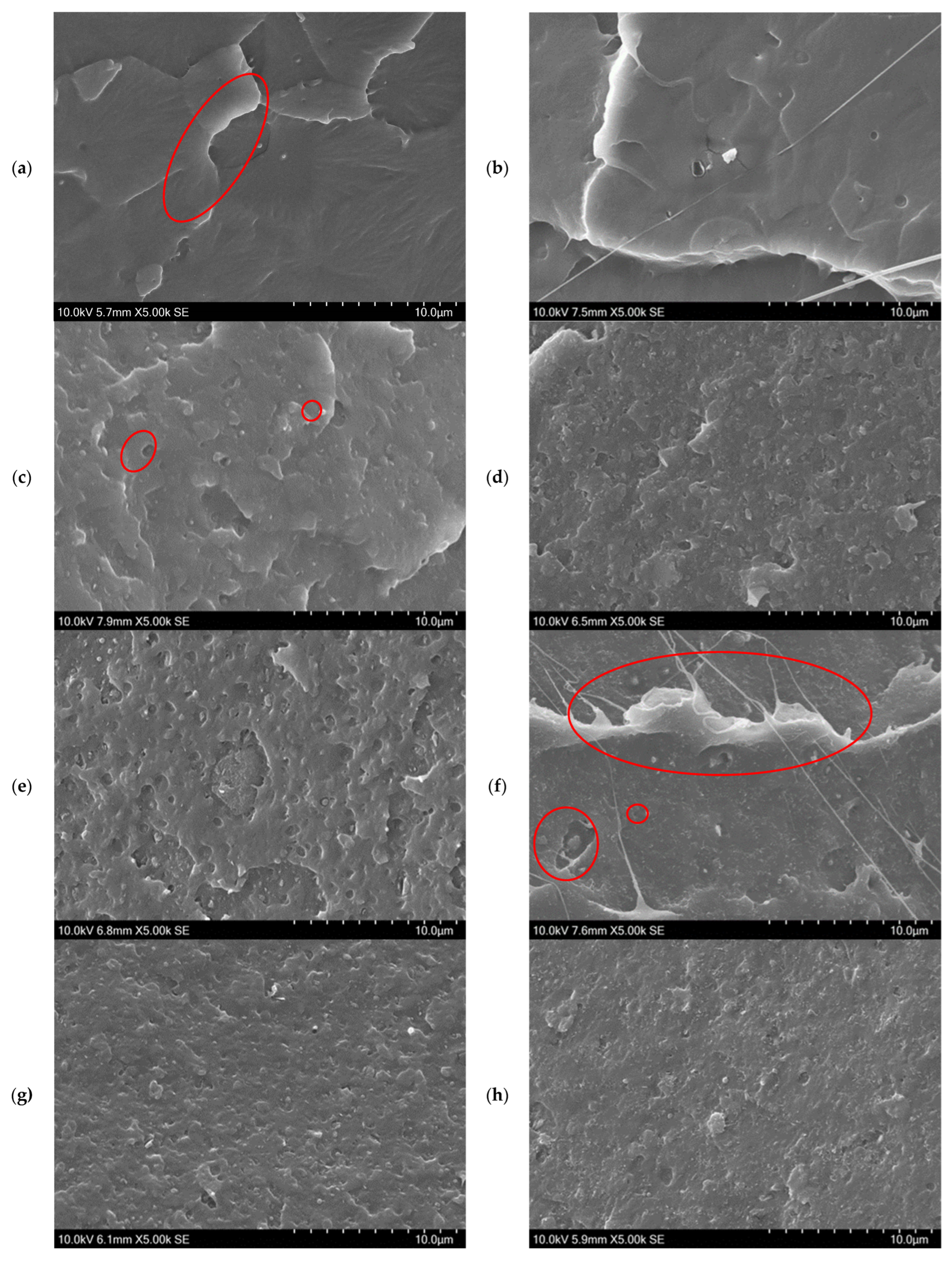Polymers 18 00099 g004