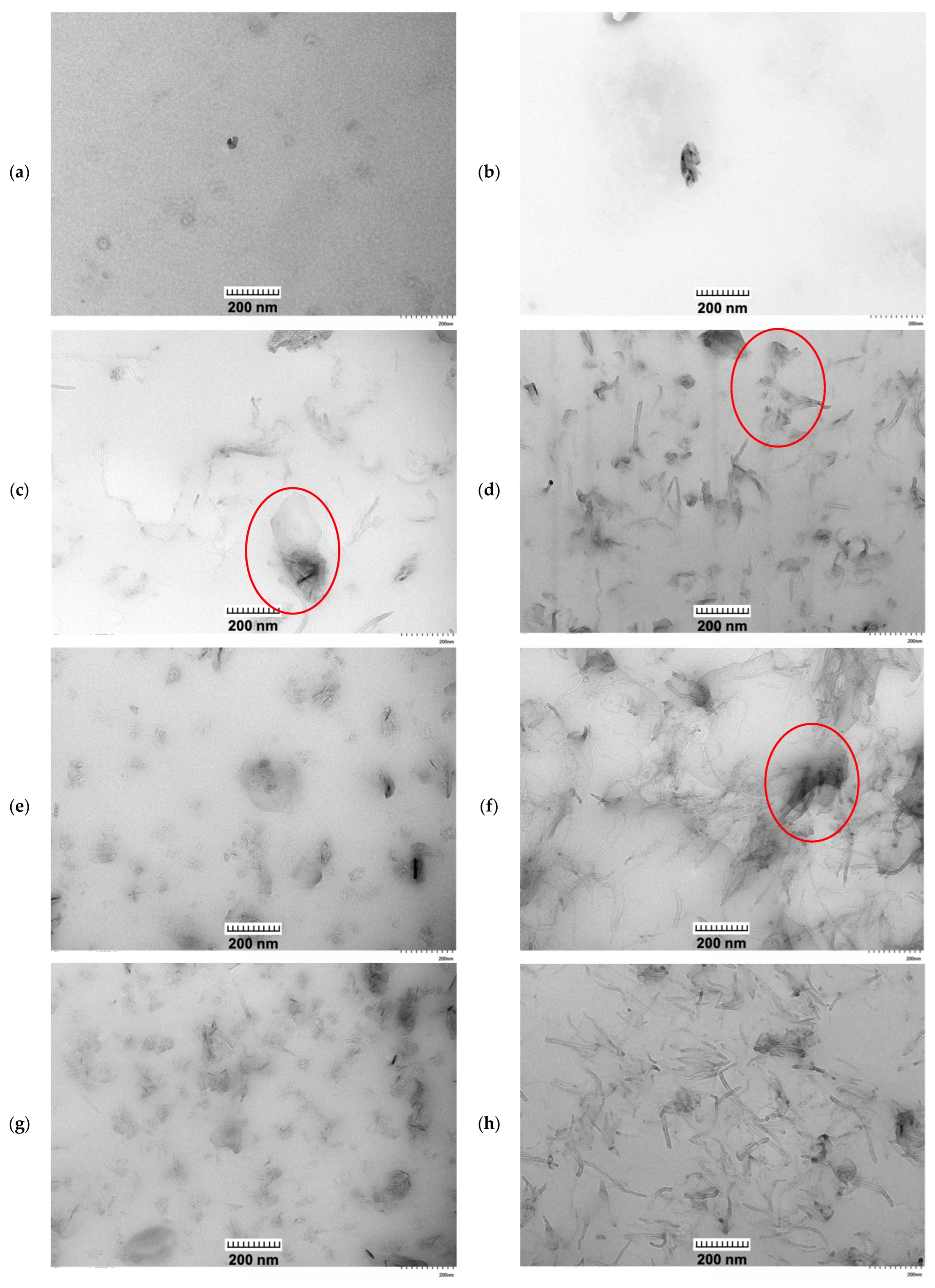 Polymers 18 00099 g005