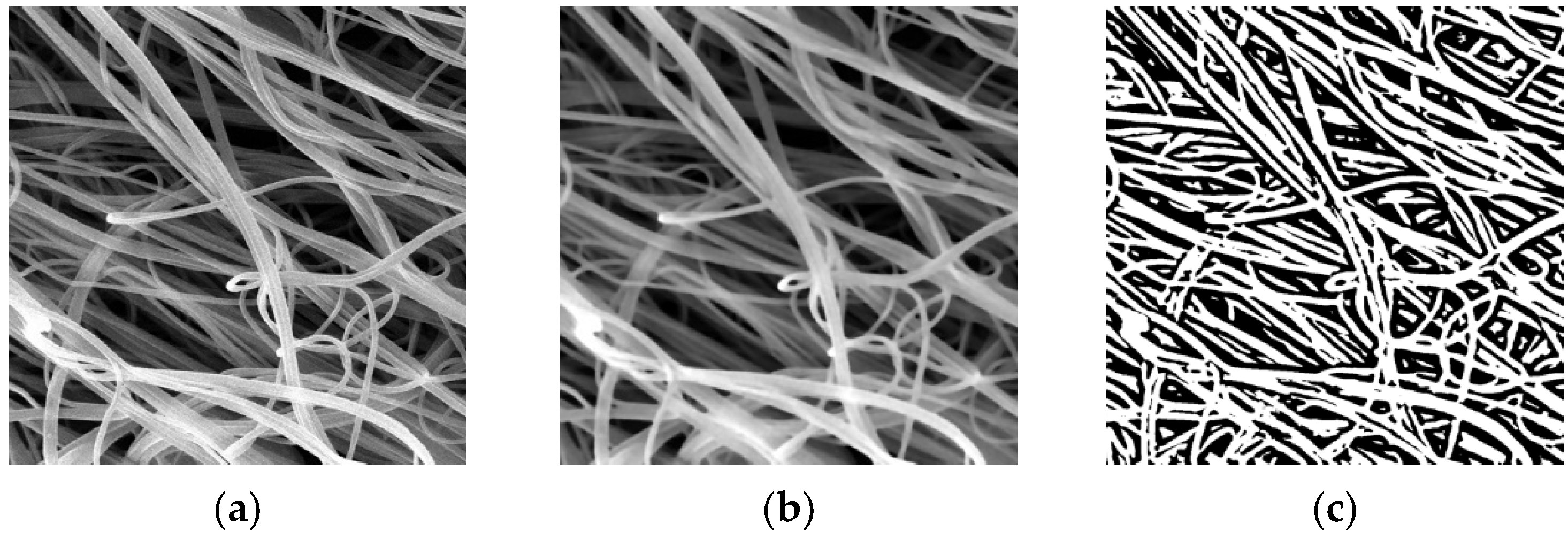 Polymers 18 00100 g004