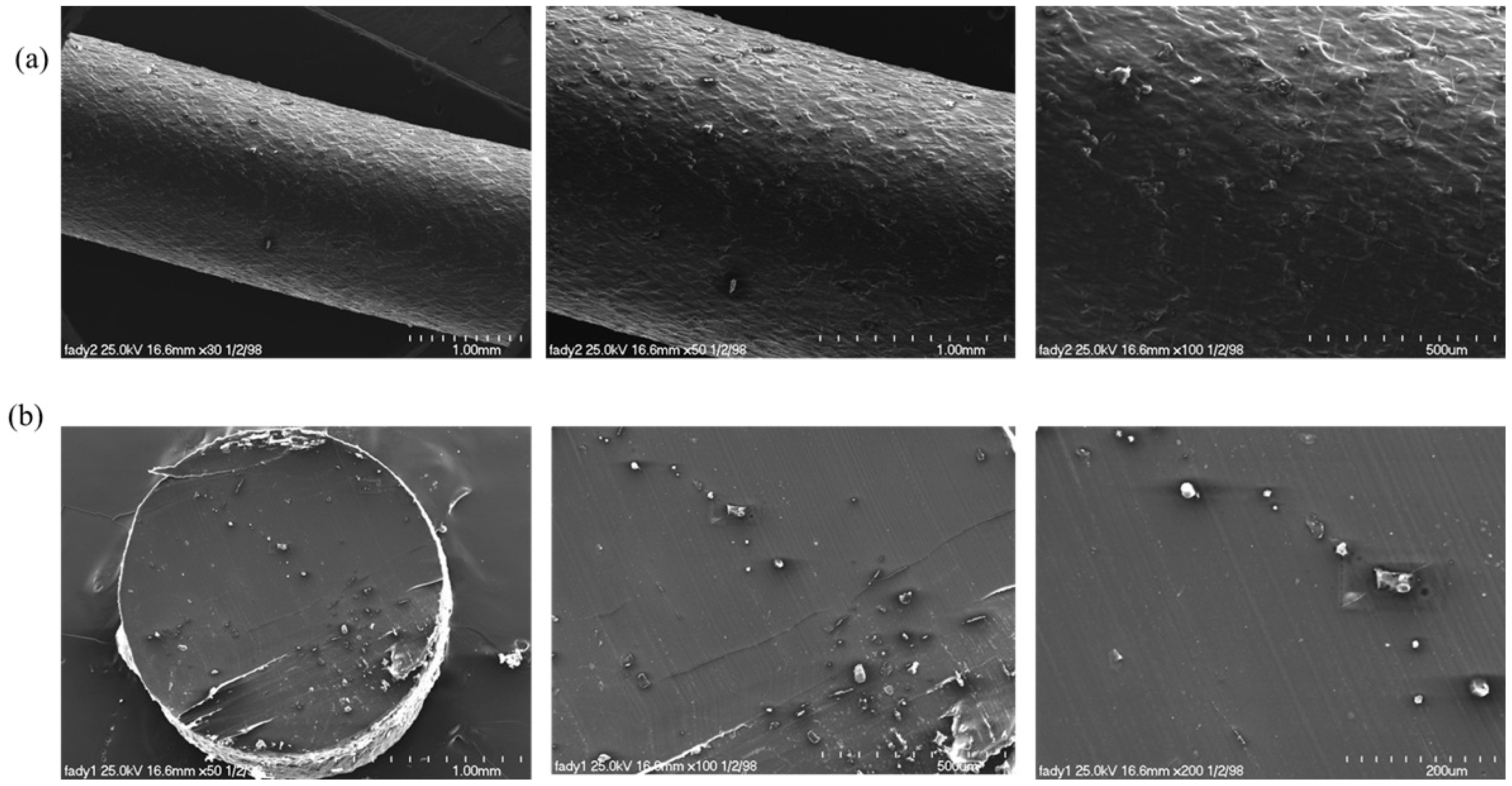 Polymers 18 00102 g007