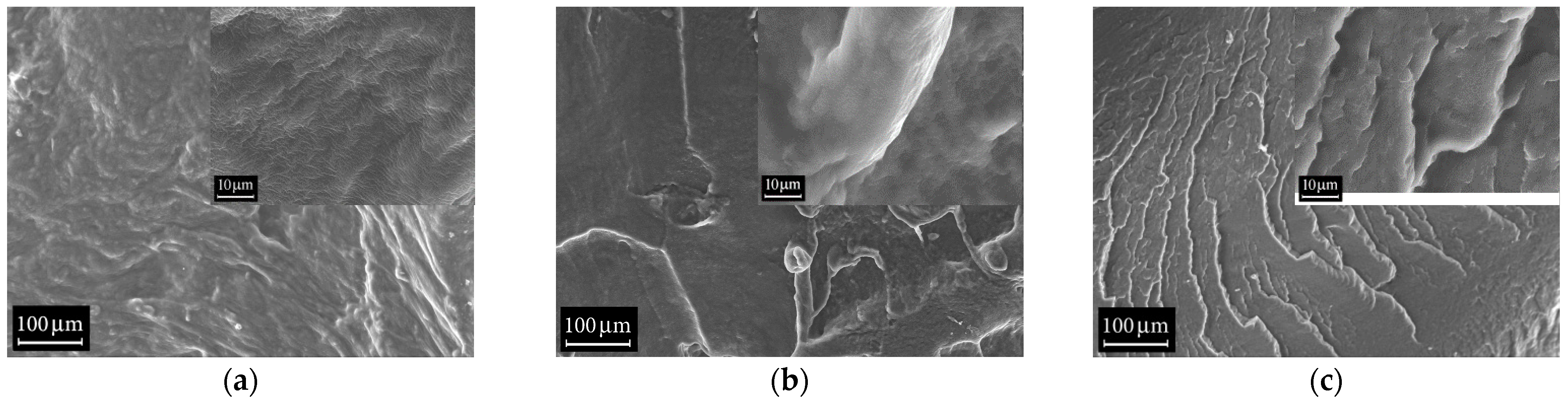 Polymers 18 00103 g006 Polymers 18 00103 g006